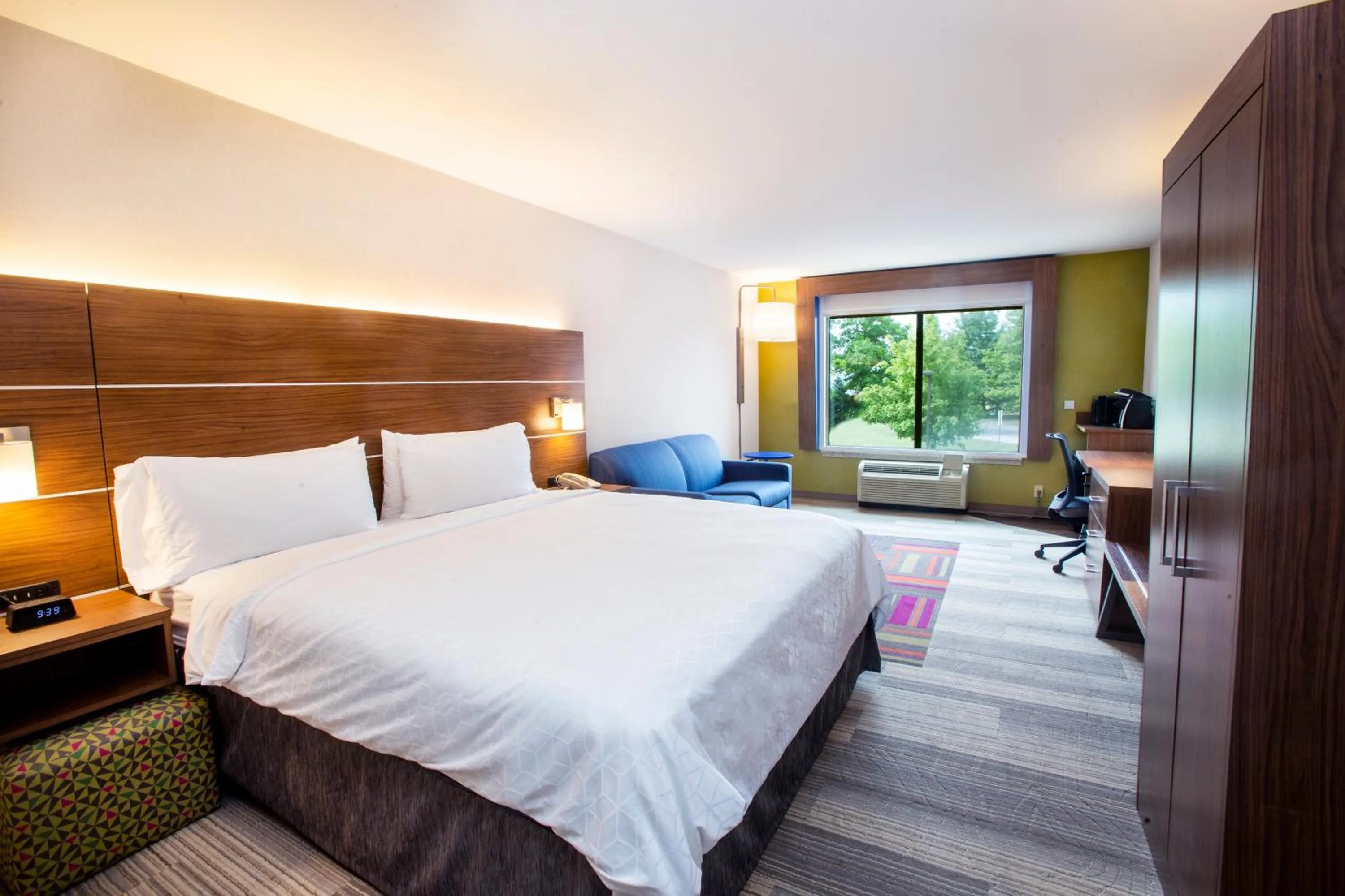 Suite - Mobility Access Roll in Shower/Non-Smoking in Holiday Inn Express & Suites Bethlehem Arpt-Allentown Area