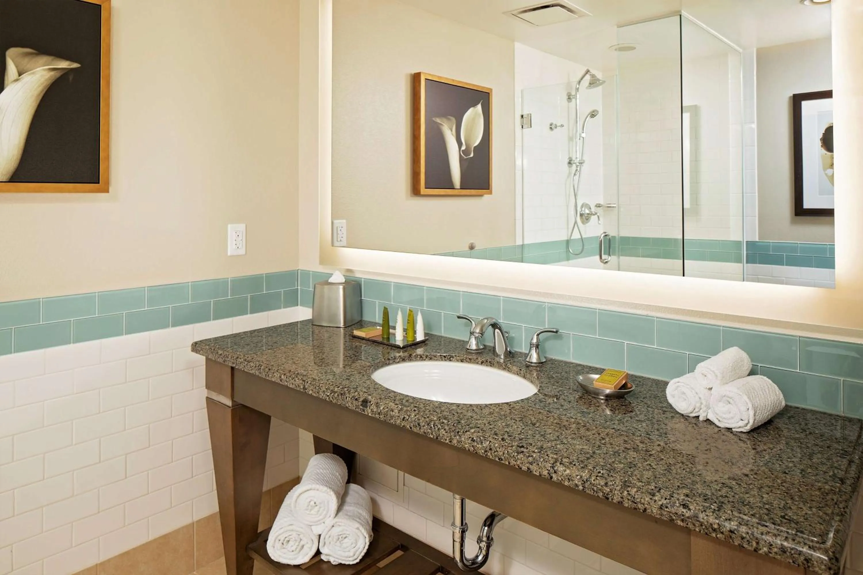 King Suite - Hearing Access/Non-Smoking in Hilton Grand Vacations Club Parc Soleil Orlando
