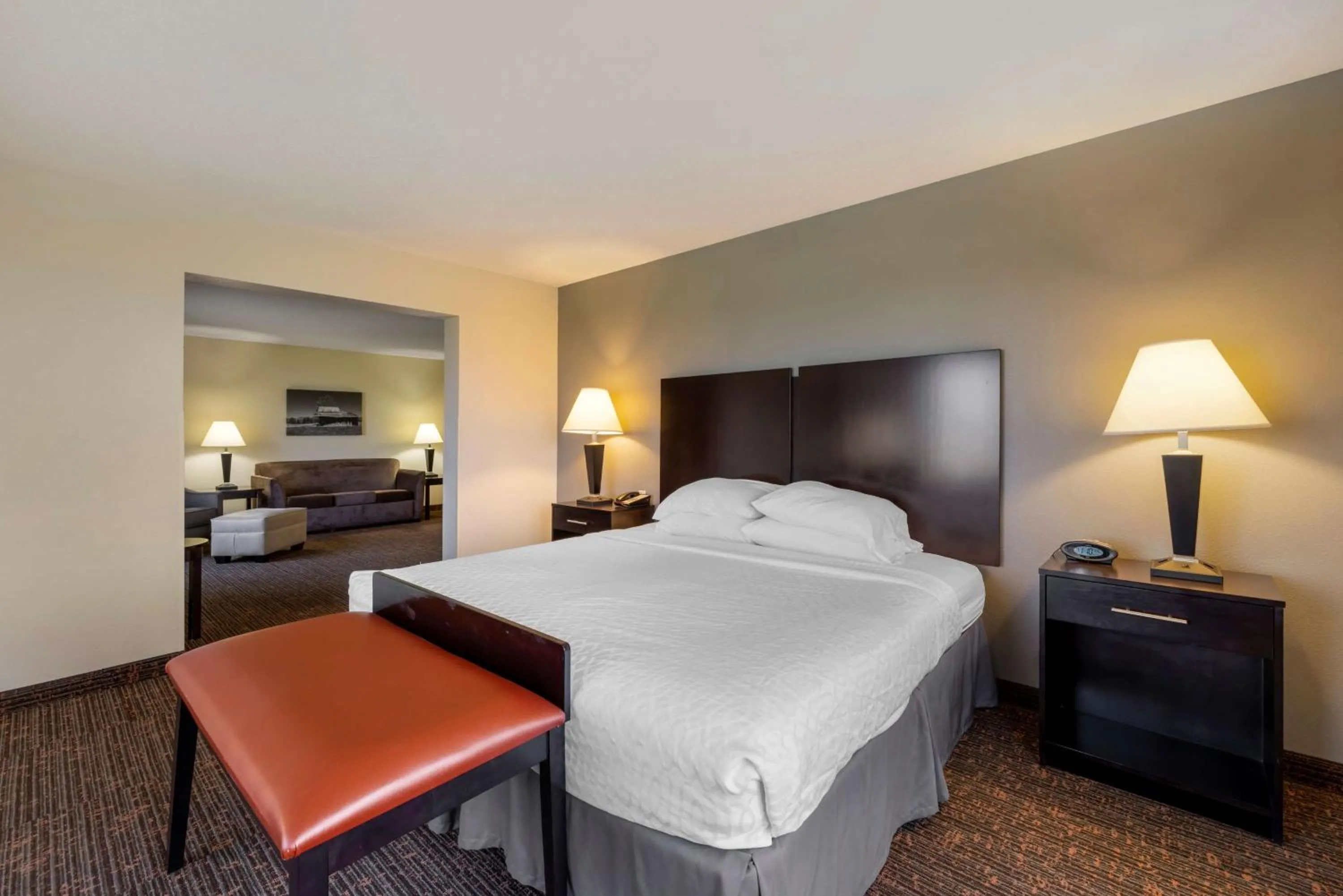 King Suite with Sofa Bed and Bath Tub - Disability Access/Non-Smoking in Best Western Plus Omaha Airport Inn