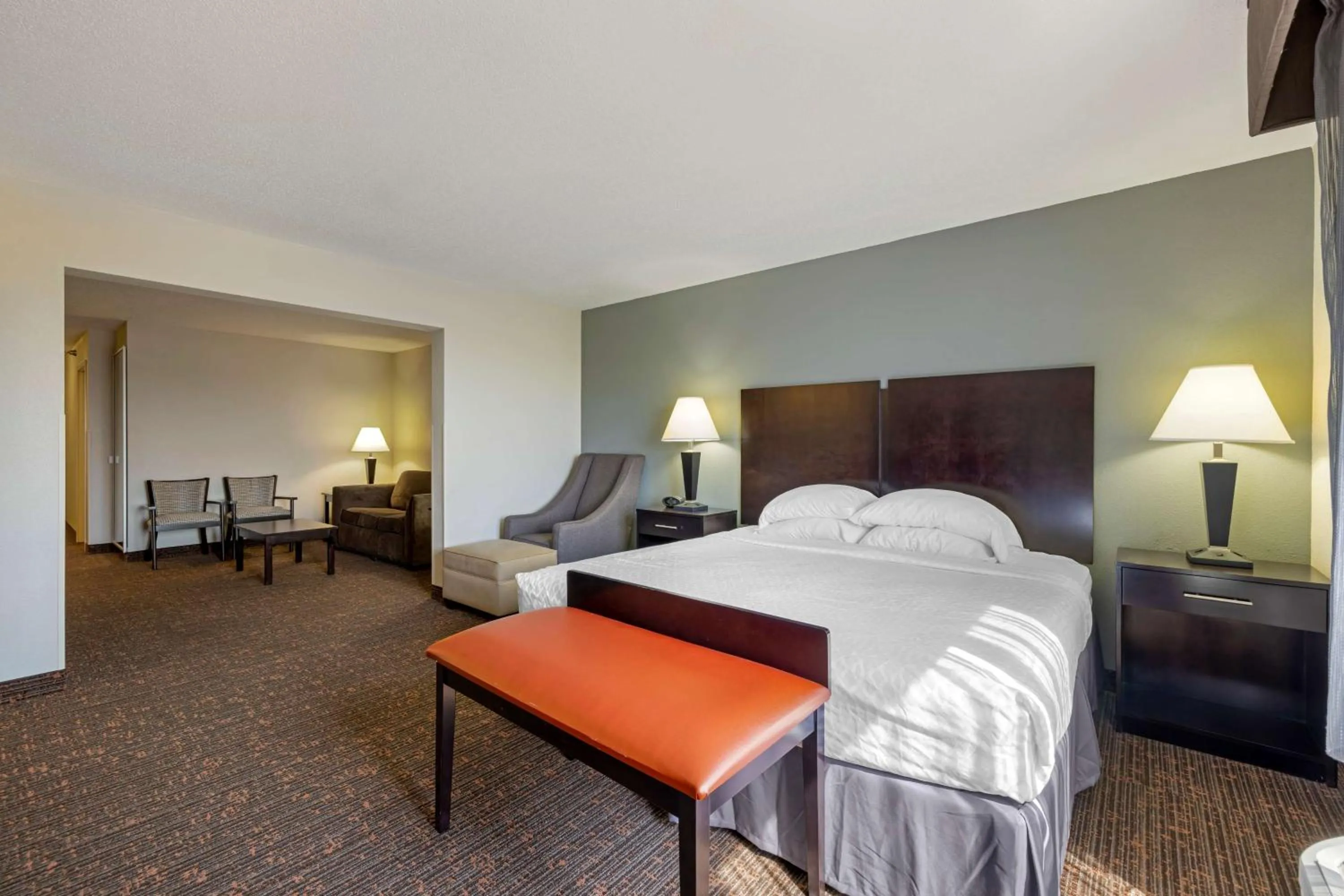 King Suite with Sofa Bed - Non-Smoking in Best Western Plus Omaha Airport Inn