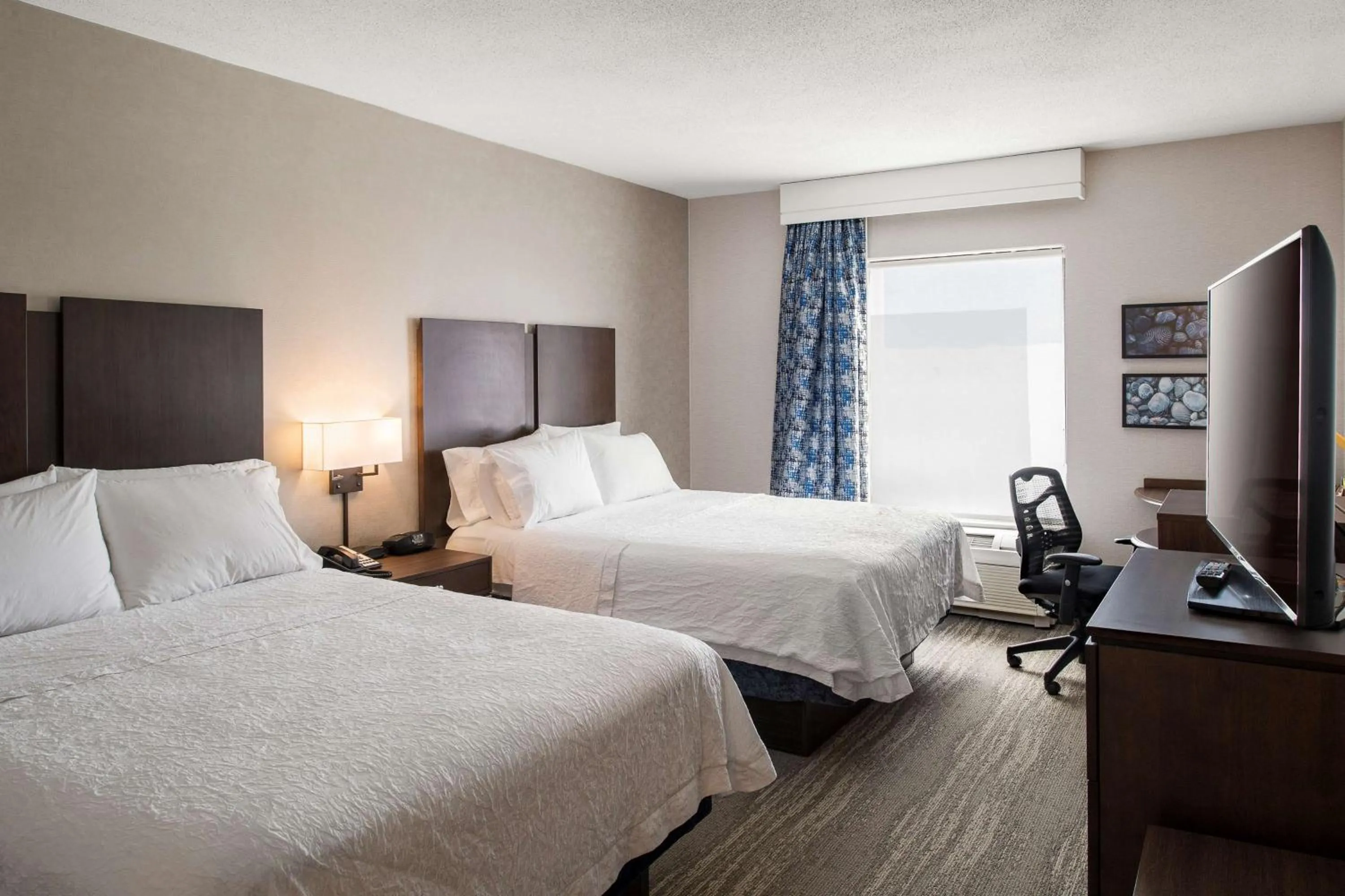 Room with Two Queen Beds - Non-Smoking in Hampton Inn & Suites by Hilton Dartmouth - Halifax