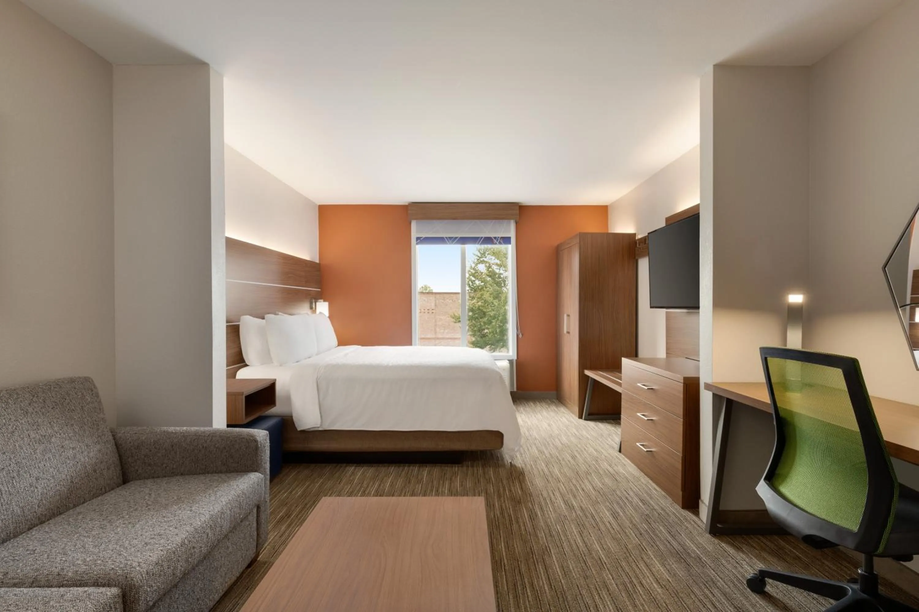 Queen Suite in Holiday Inn Express Hotel & Suites Auburn - University Area by IHG