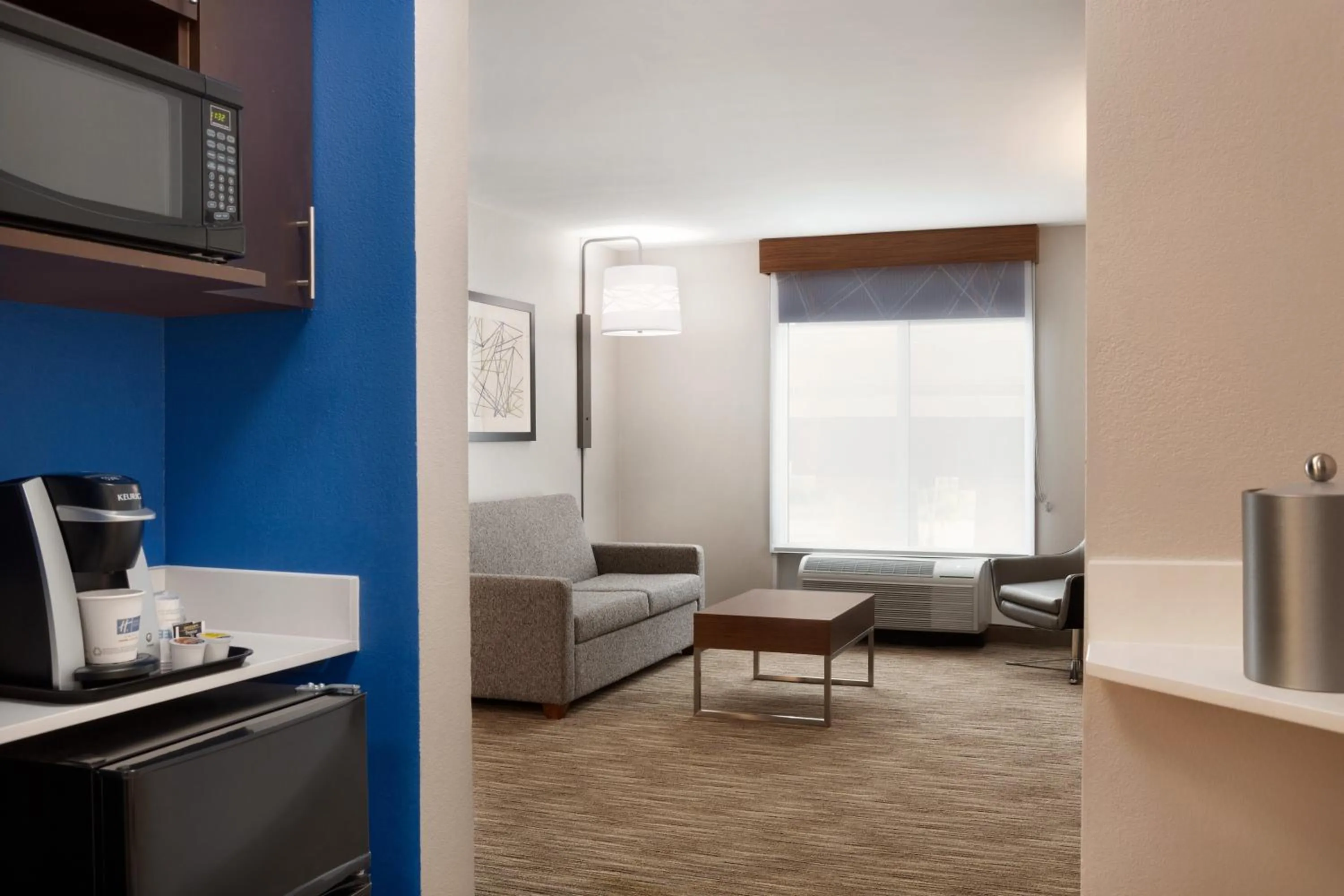One-Bedroom Suite in Holiday Inn Express Hotel & Suites Auburn - University Area by IHG