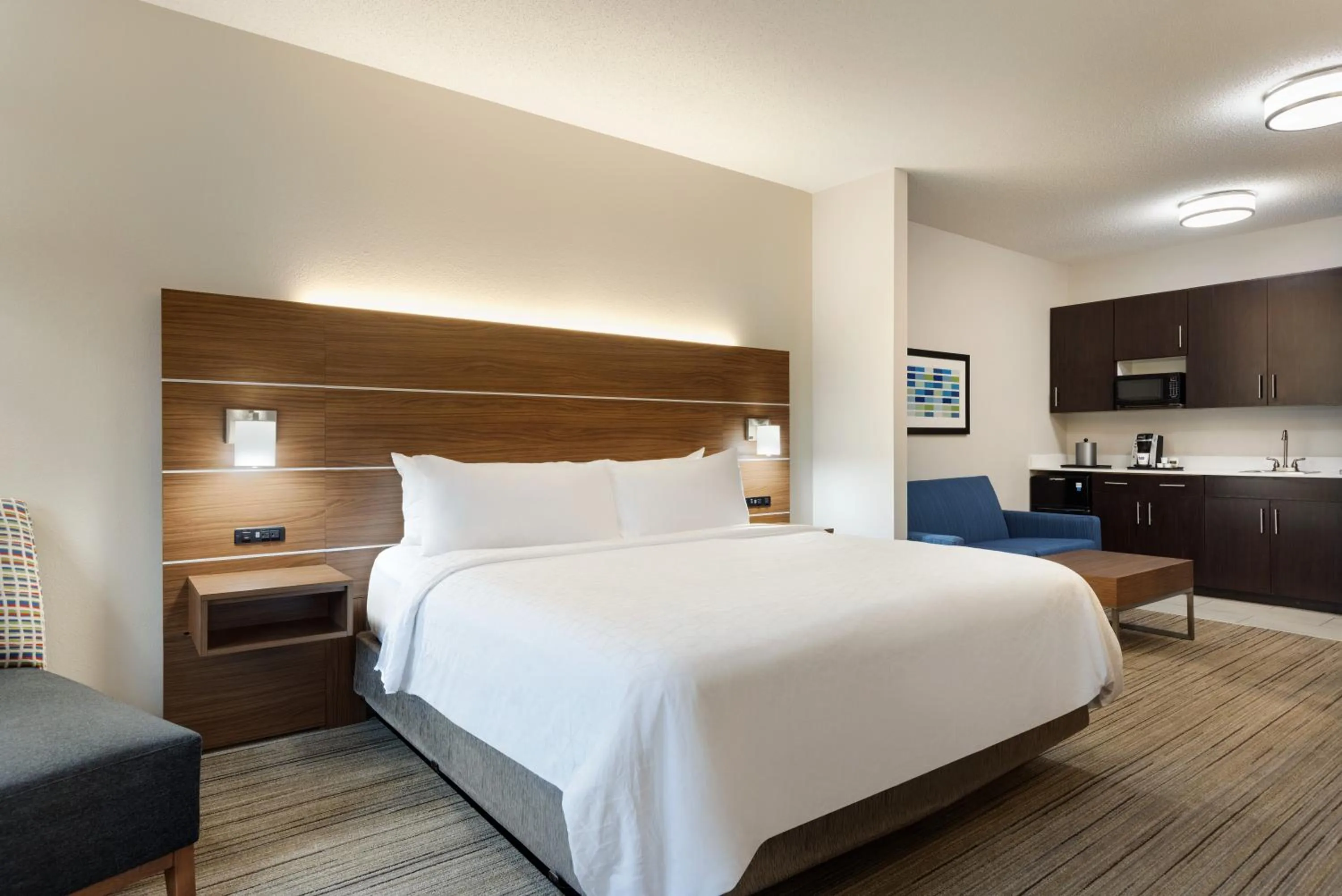 King Suite with Vanity in Holiday Inn Express Hotel & Suites Opelika Auburn by IHG