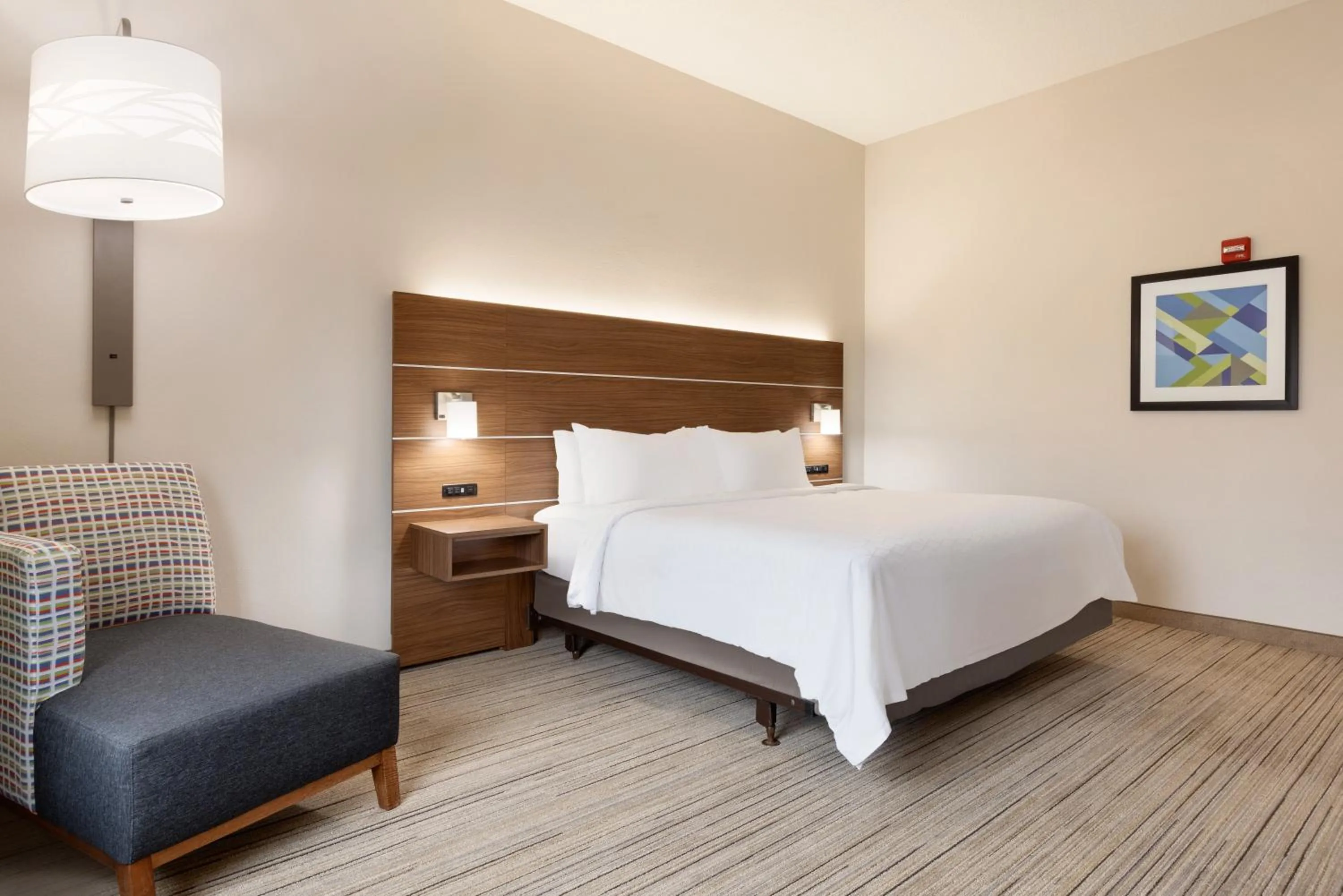 Suite with Mobility Accessible Tub - Non-Smoking in Holiday Inn Express Hotel & Suites Opelika Auburn by IHG