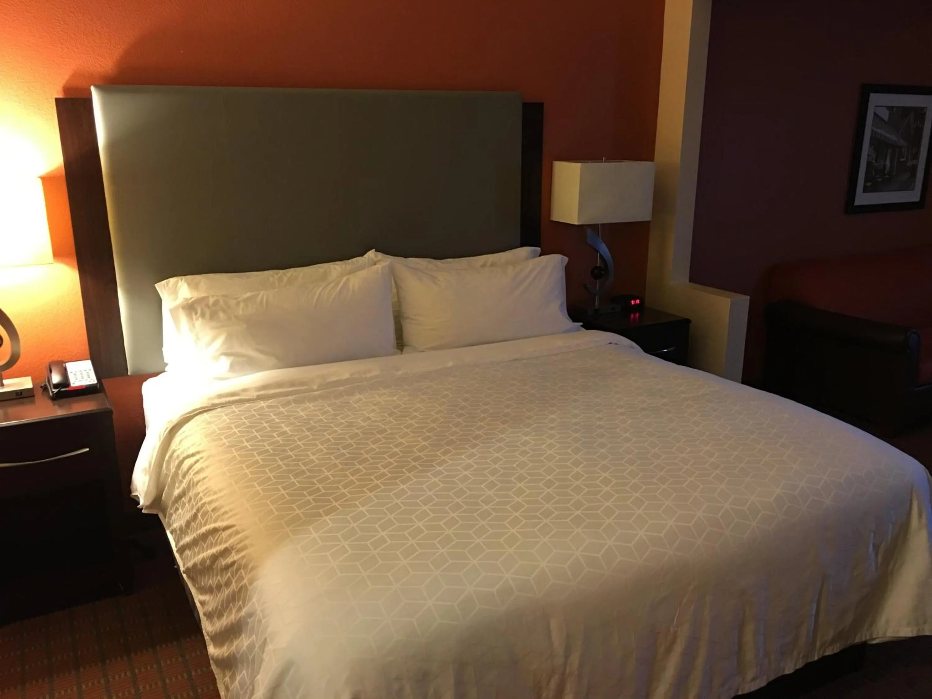 Standard King Room in Holiday Inn Express Hotel & Suites Laurinburg by IHG