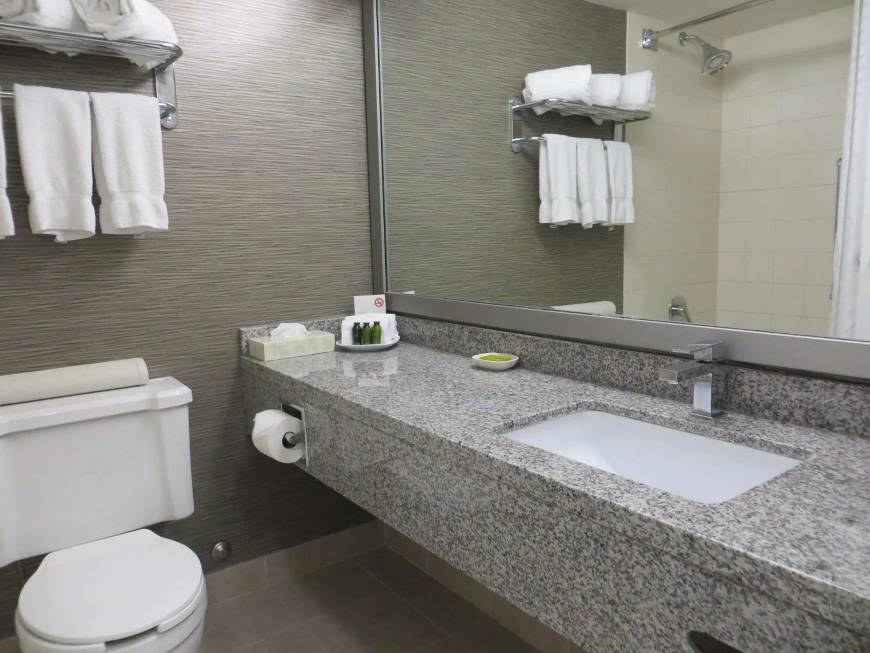 Deluxe King Room with Balcony in Toronto Don Valley Hotel and Suites