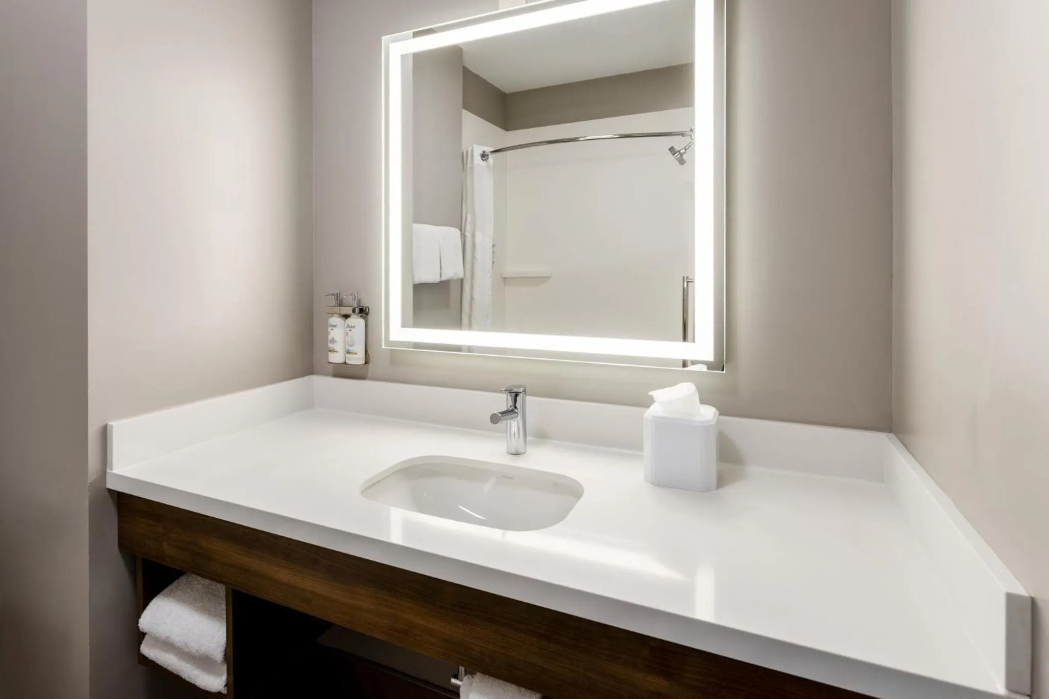 Standard Room in Holiday Inn Express & Suites Dewitt - Syracuse by IHG