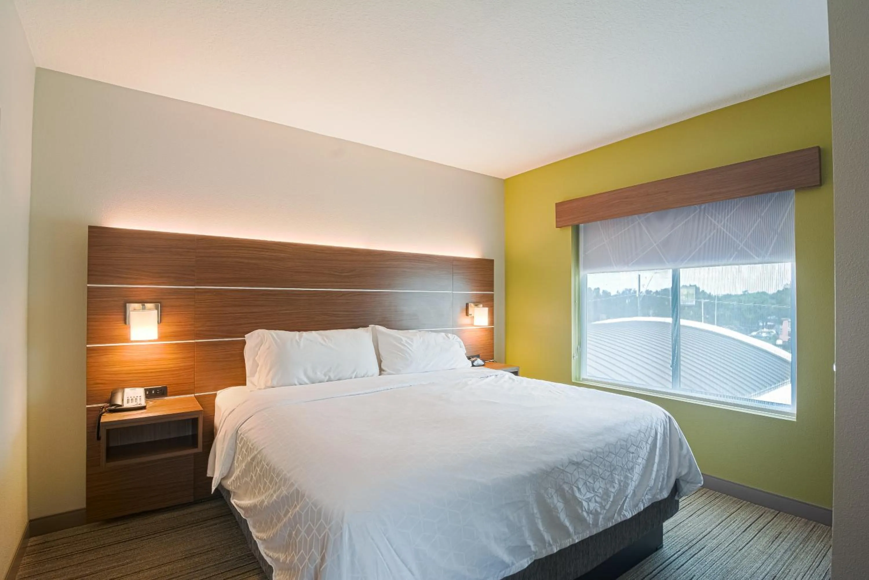 King Room - Mobility Access/Roll in Shower - Non-Smoking in Holiday Inn Express Hotel & Suites Tampa-USF-Busch Gardens by IHG