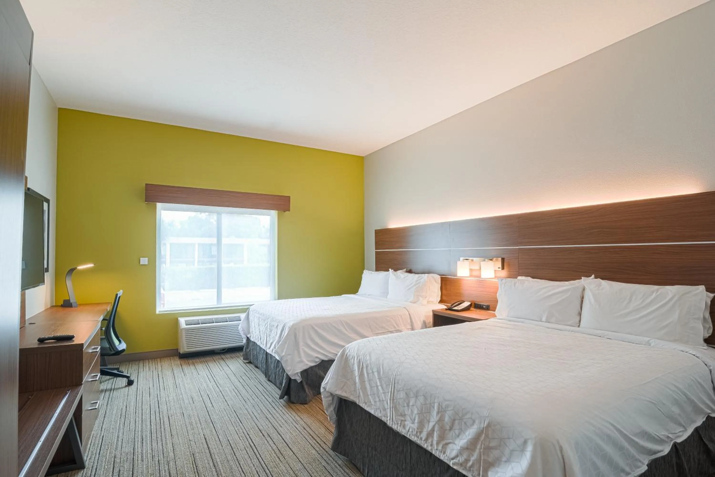 Standard Room in Holiday Inn Express Hotel & Suites Tampa-USF-Busch Gardens by IHG