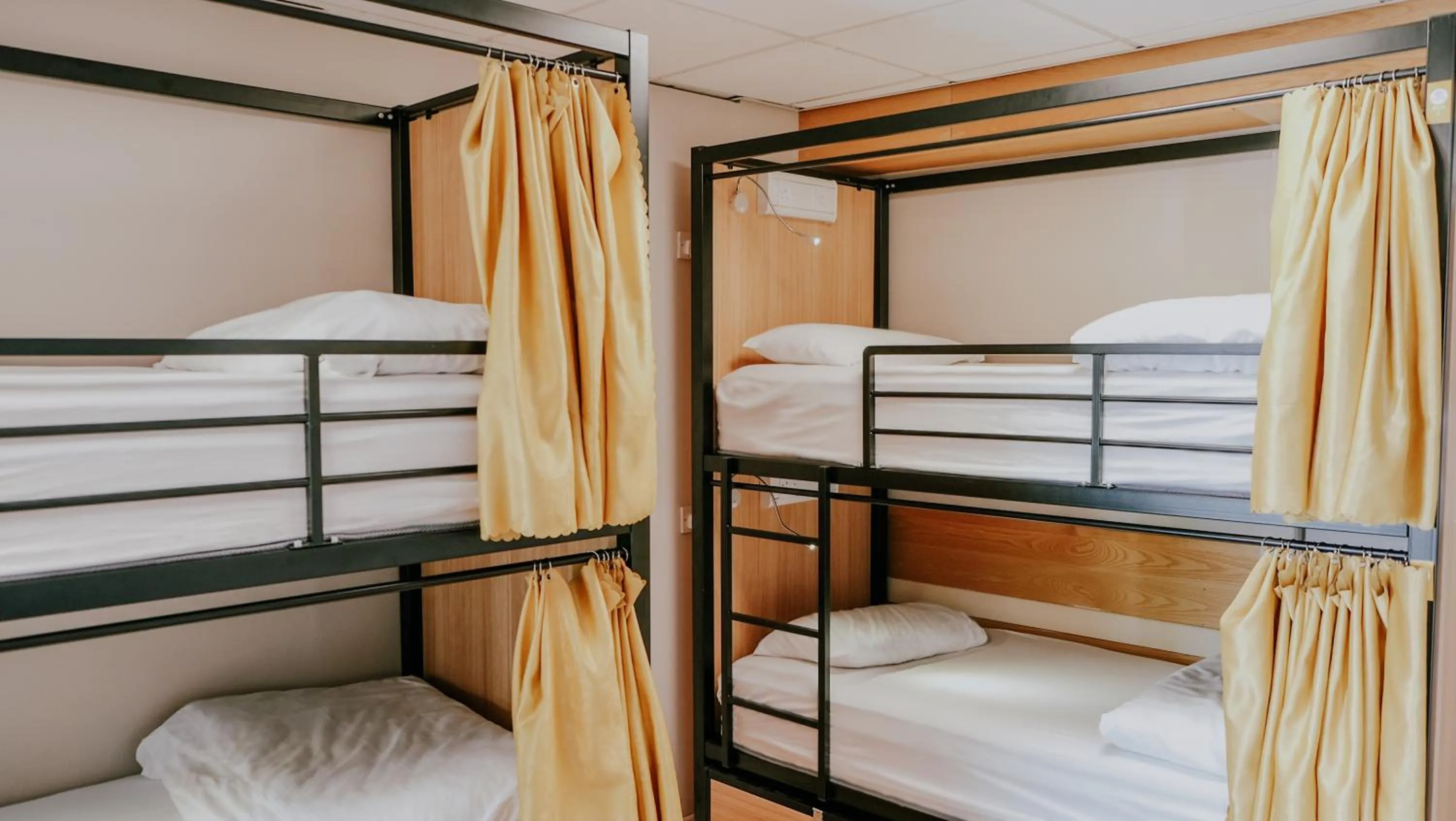 Bed in 4-Bed Mixed Dormitory Room with Shared Bathroom in Garden Lane Backpackers