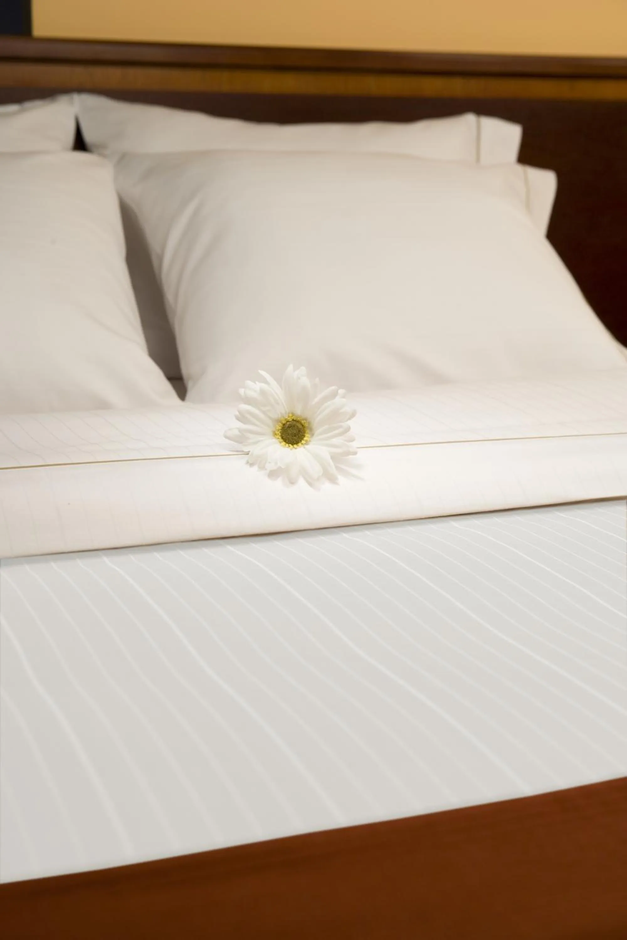 Standard Room in Holiday Inn Express Fort Wayne - East - New Haven by IHG