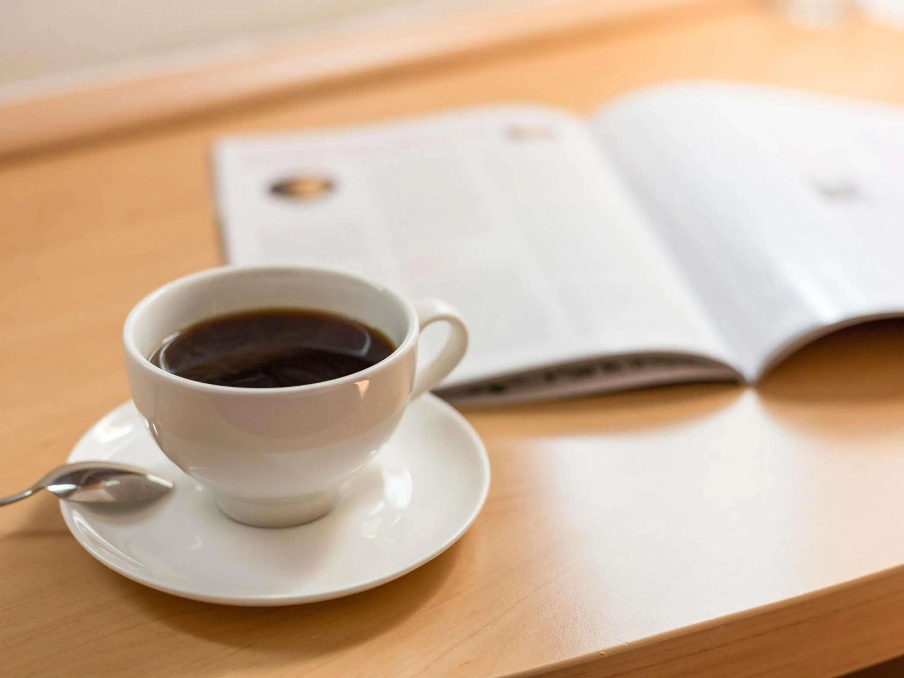 Standard Twin Room in Ibis Gaziantep