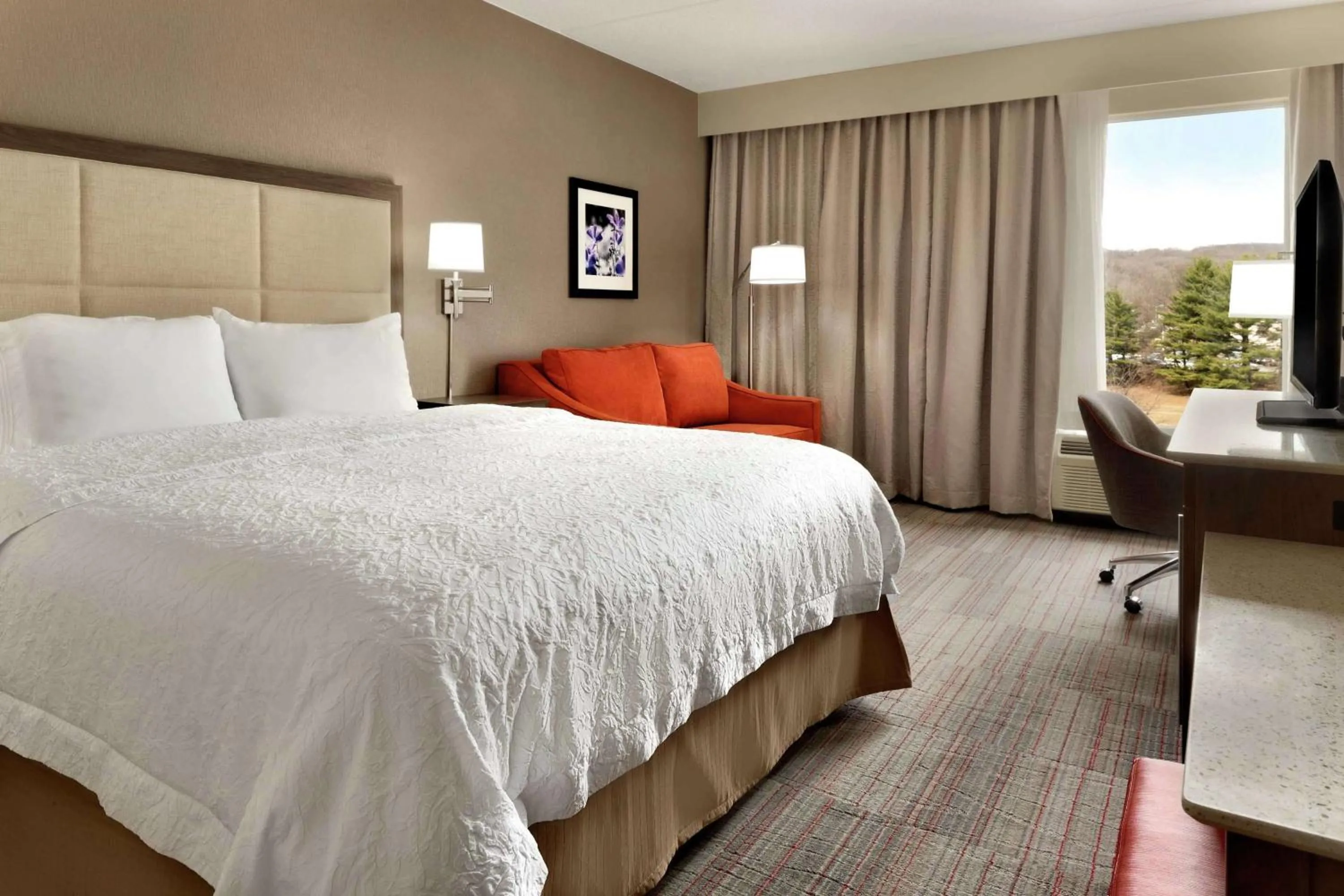 Deluxe King Room with Sofa Bed - Non-Smoking in Hampton Inn Denville-Rockaway-Parsippany