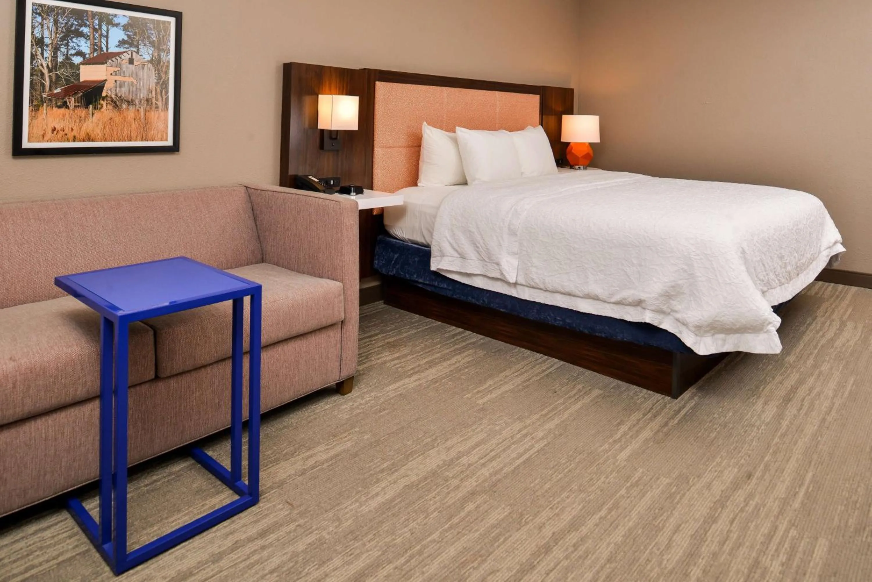 King Study Room with Sofa bed in Hampton Inn Emporia