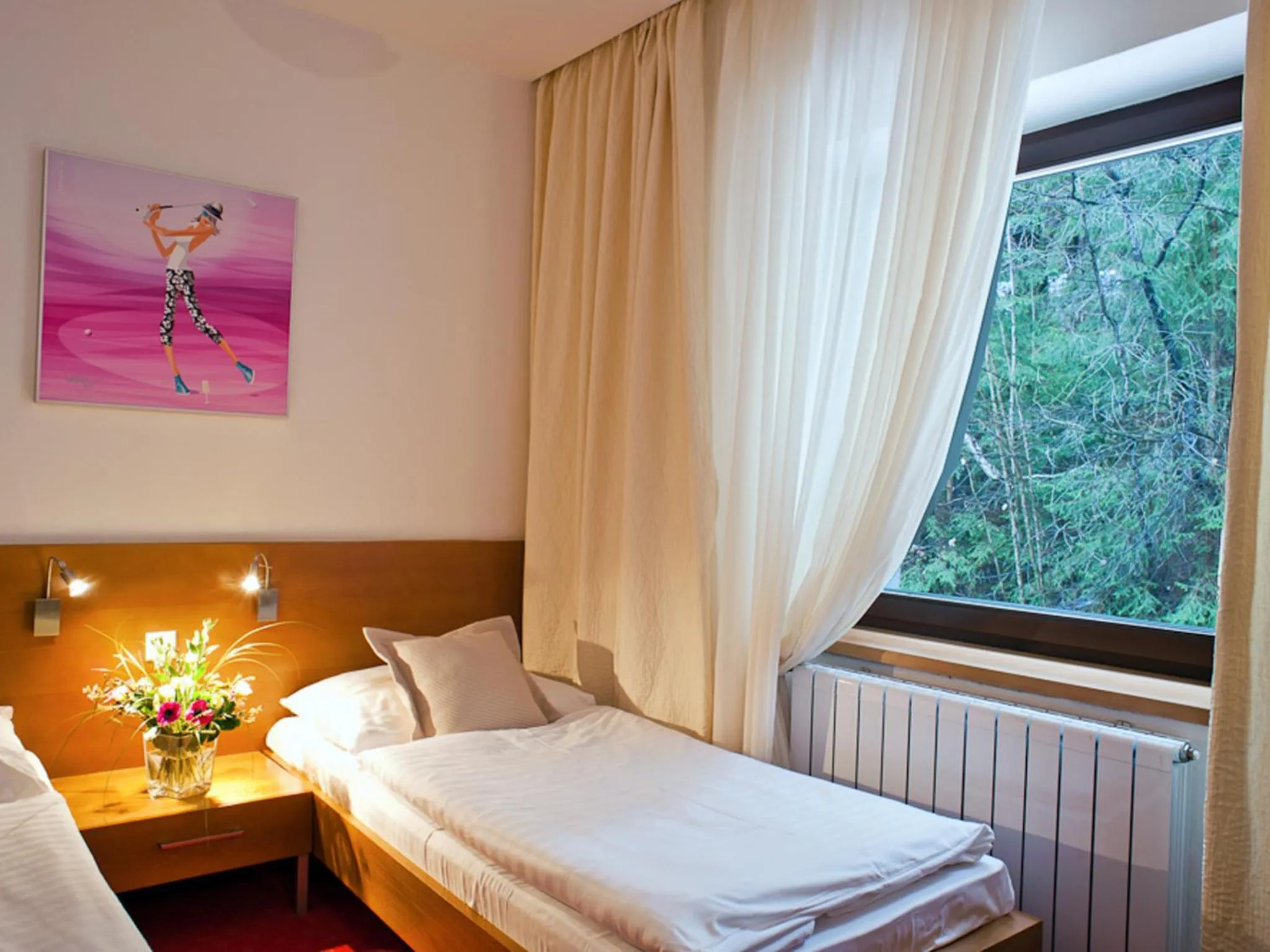 Single Room - single occupancy in Hotel Stupka