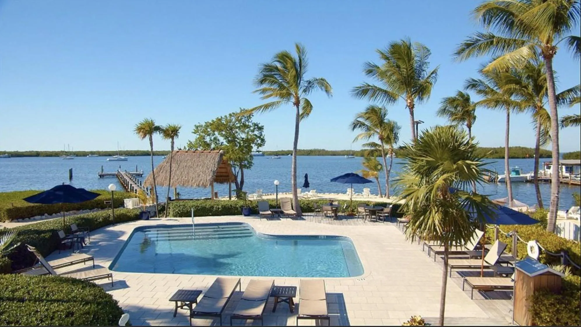 Junior Suite with Pool View in Coconut Palm Inn