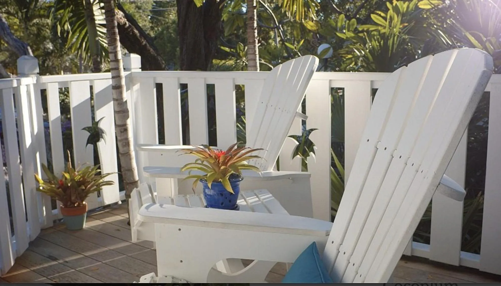 Queen Room with Garden View in Coconut Palm Inn