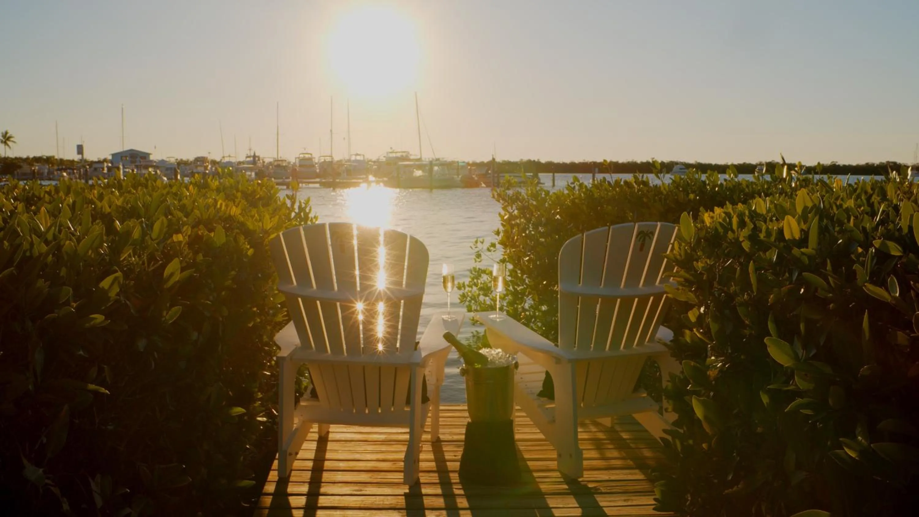 King Room with Garden View in Coconut Palm Inn