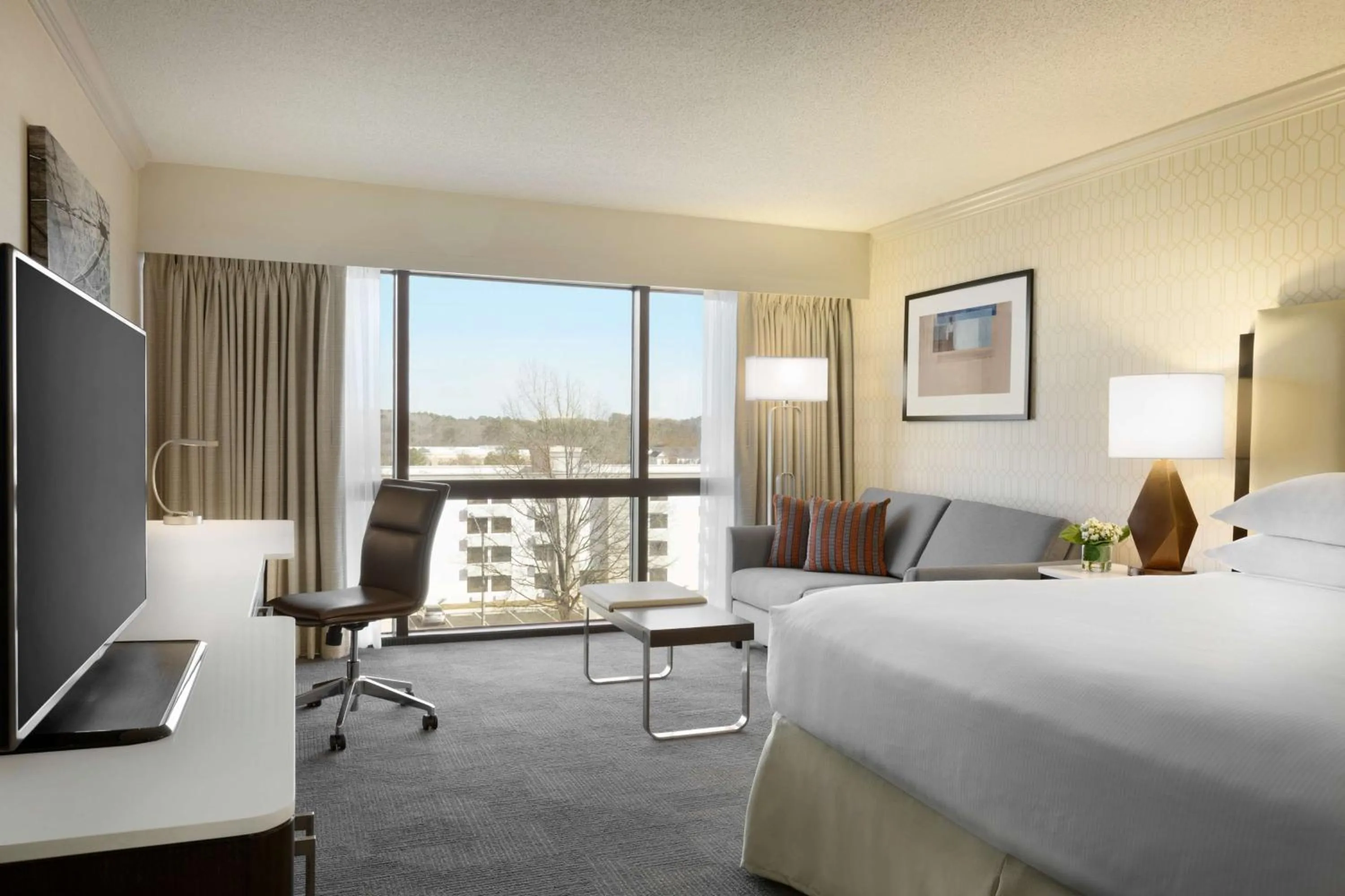 King Room with Tub - Mobility and Hearing Access in Hilton Greenville