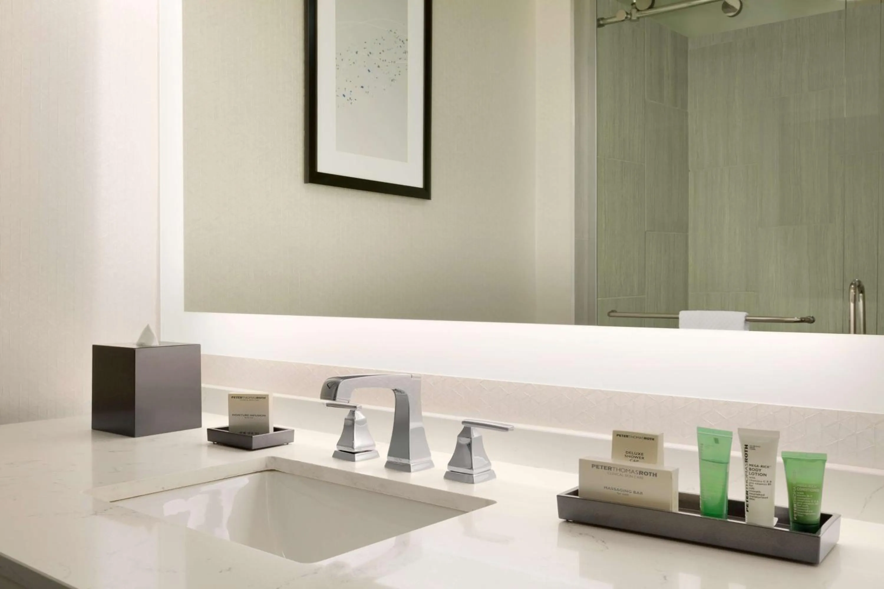 Premium Queen Room with Two Queen Beds in Hilton Greenville