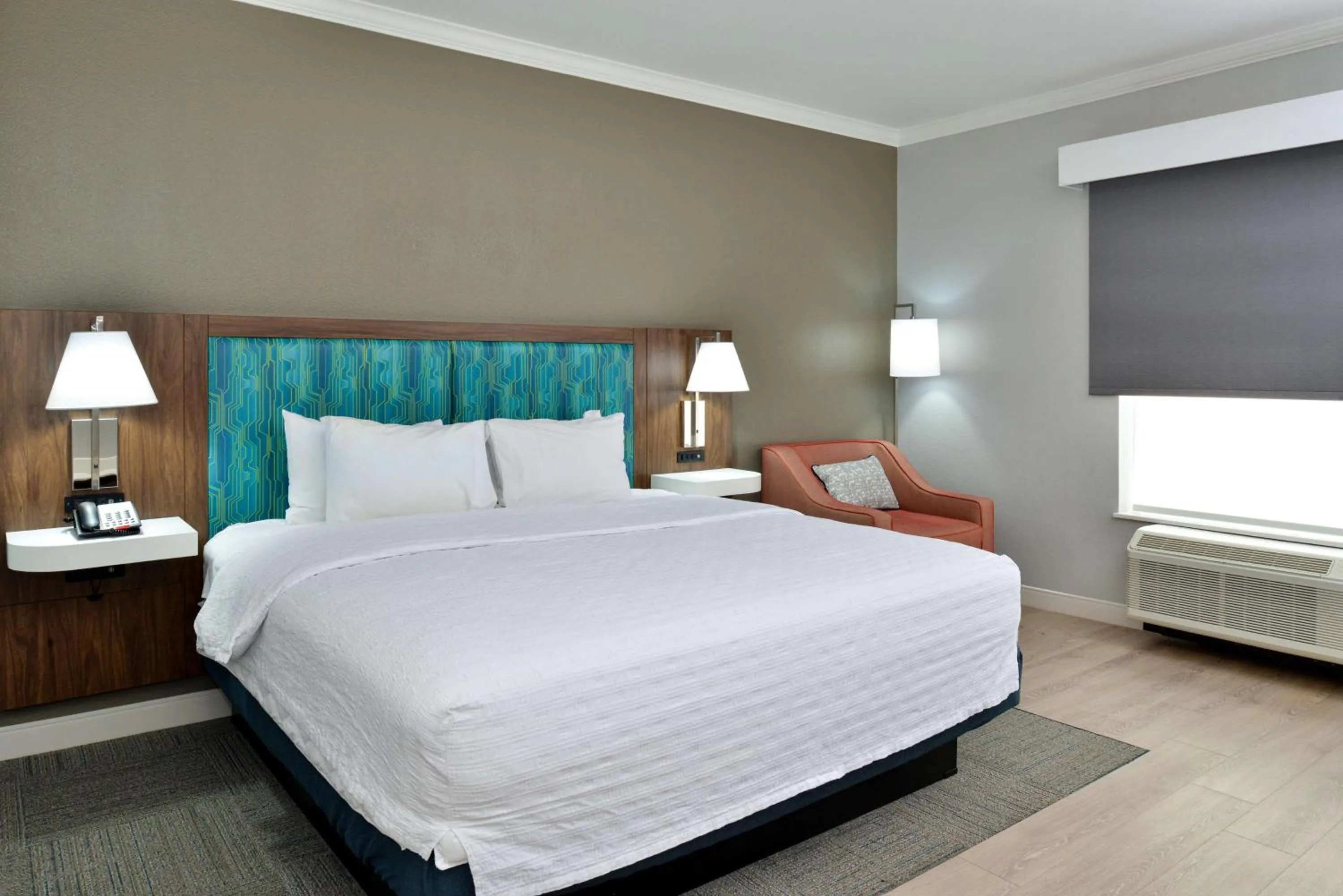 King Room with King Bed - Non-Smoking in Hampton Inn & Suites Greenville