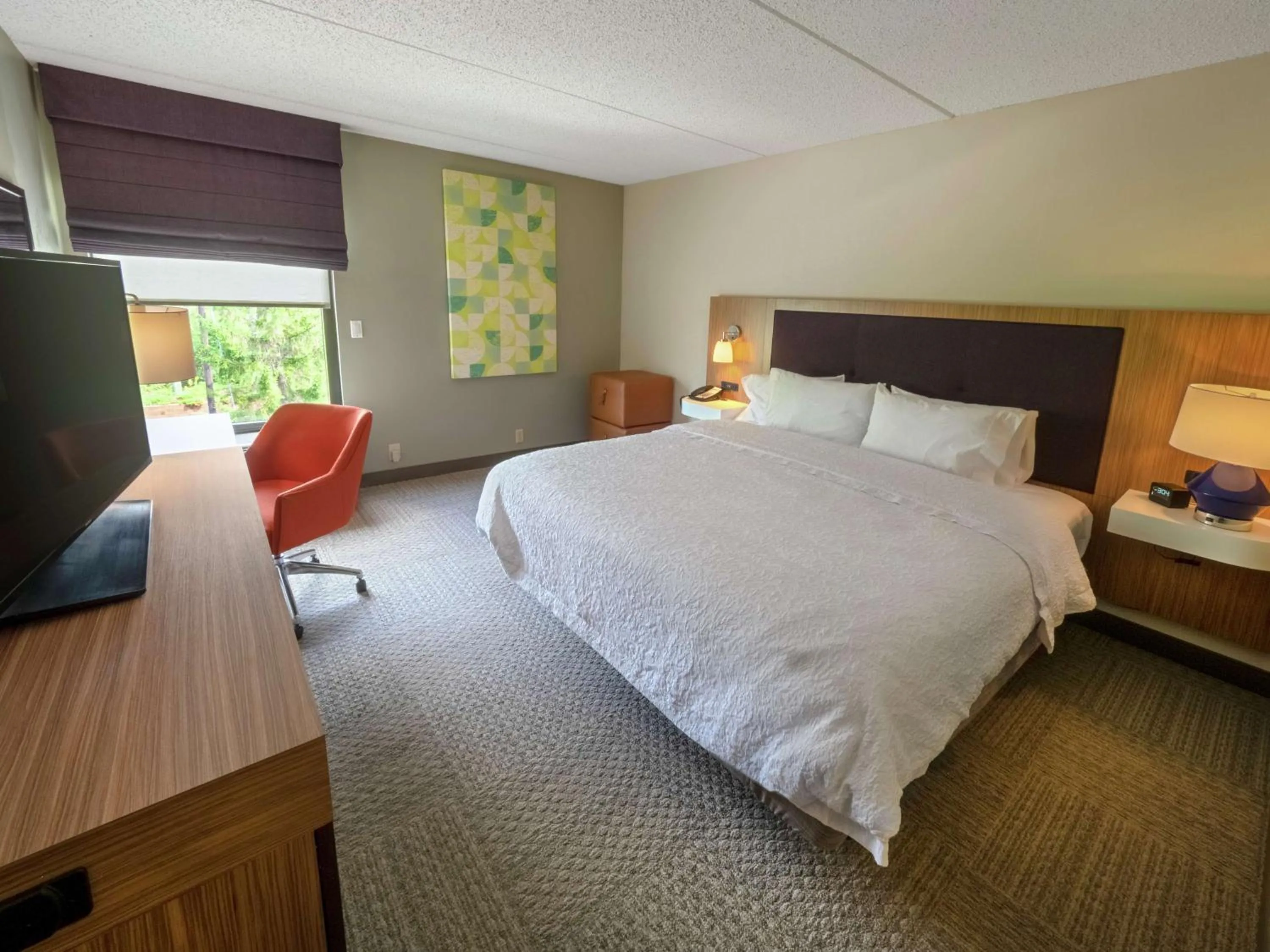 King Room - Mobility Access/Non-Smoking in Hampton Inn Hazleton