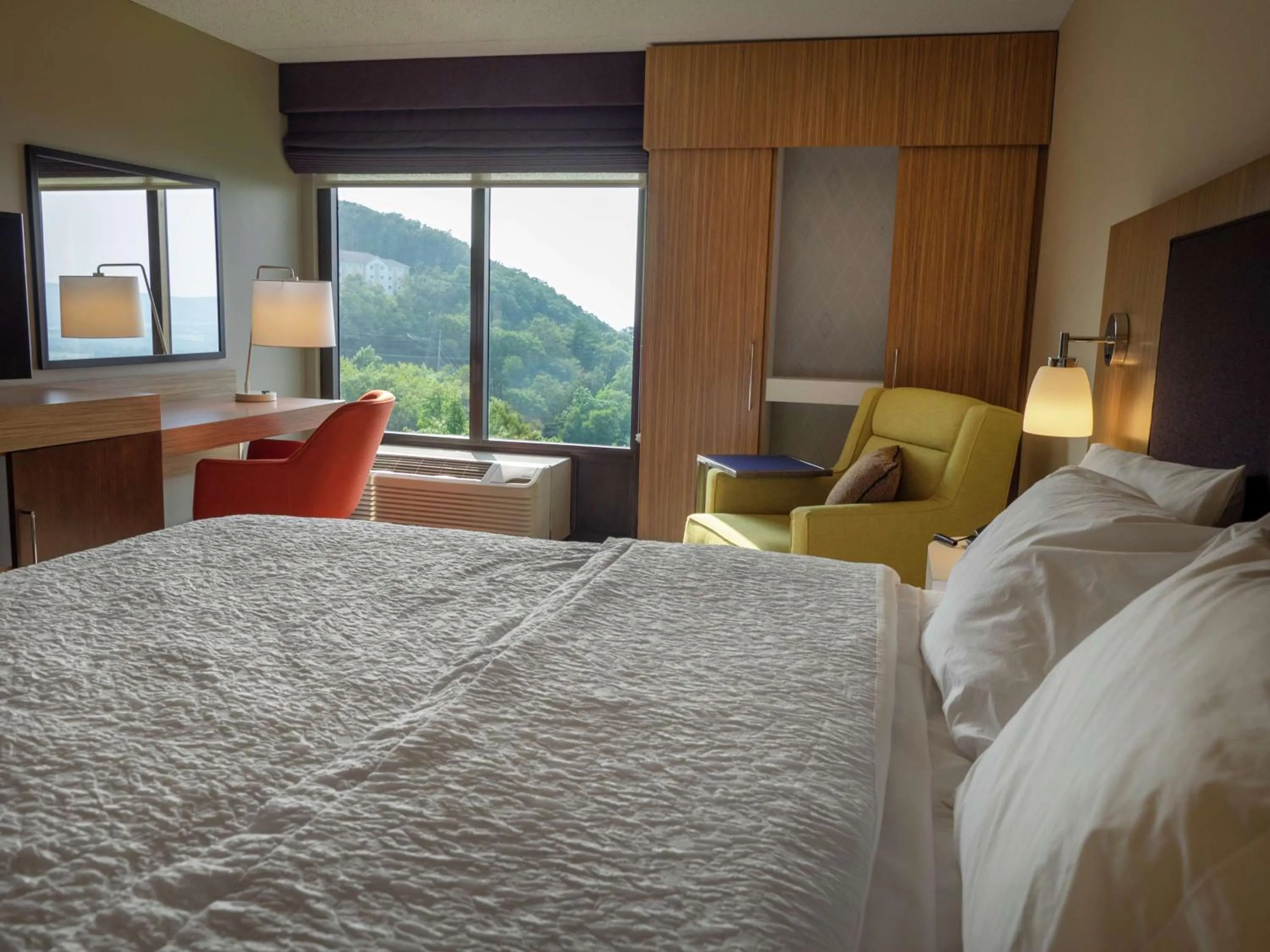 King Room With Valley View - Non-Smoking  in Hampton Inn Hazleton