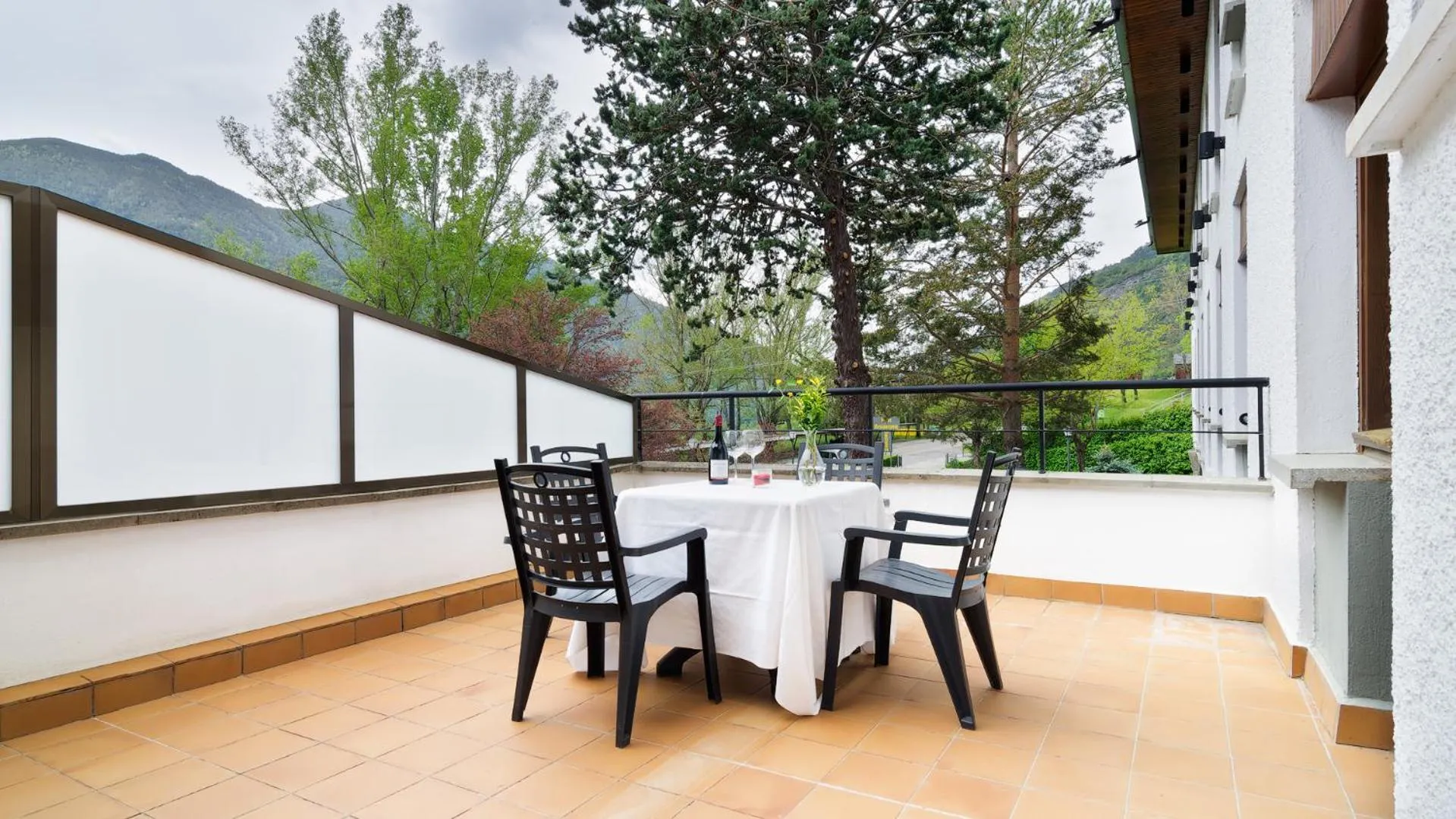 Double or Twin Room with Terrace in Silken Ordesa