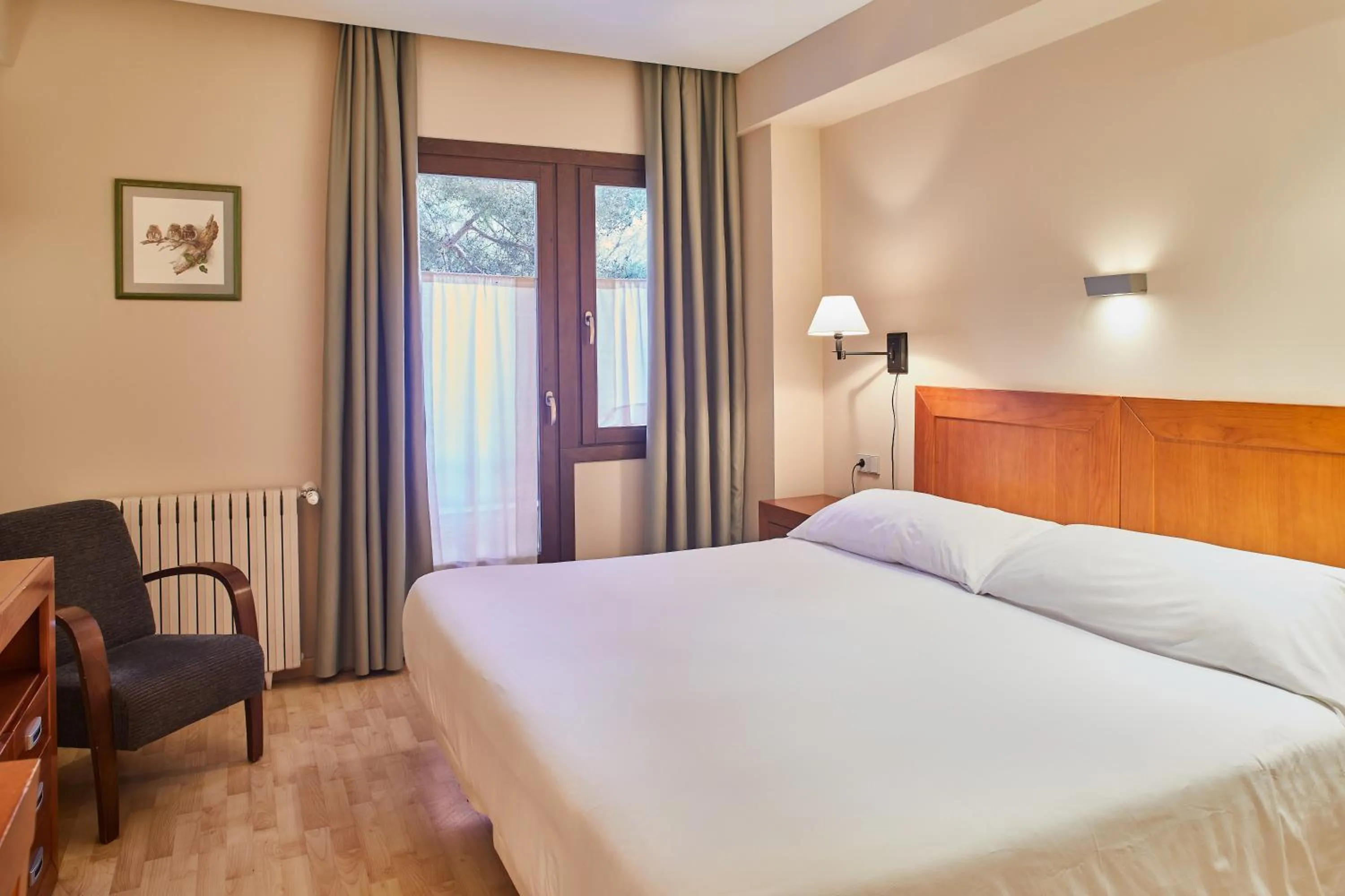 Double or Twin Room in Silken Ordesa