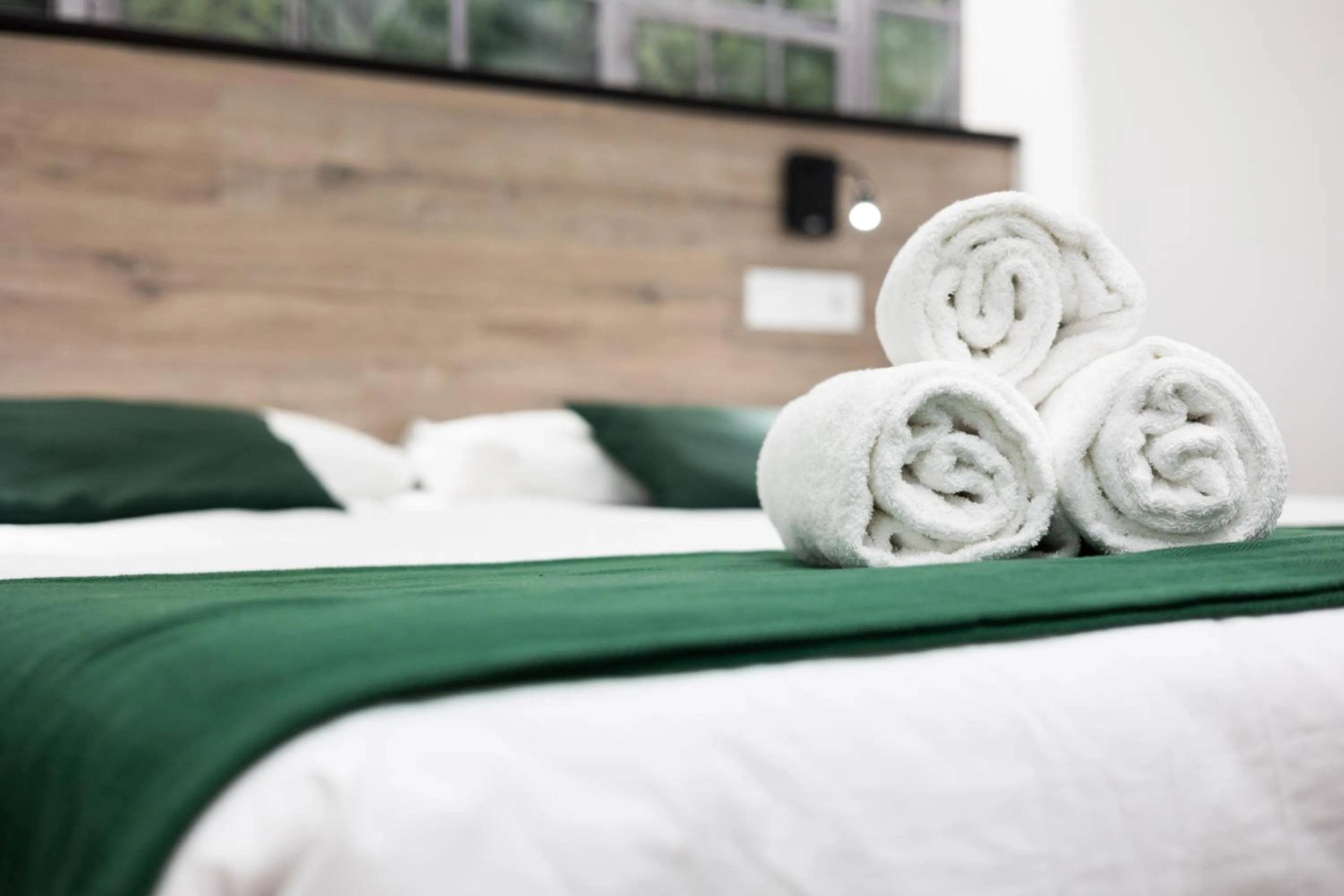 Suite with Balcony in Bailén Green House