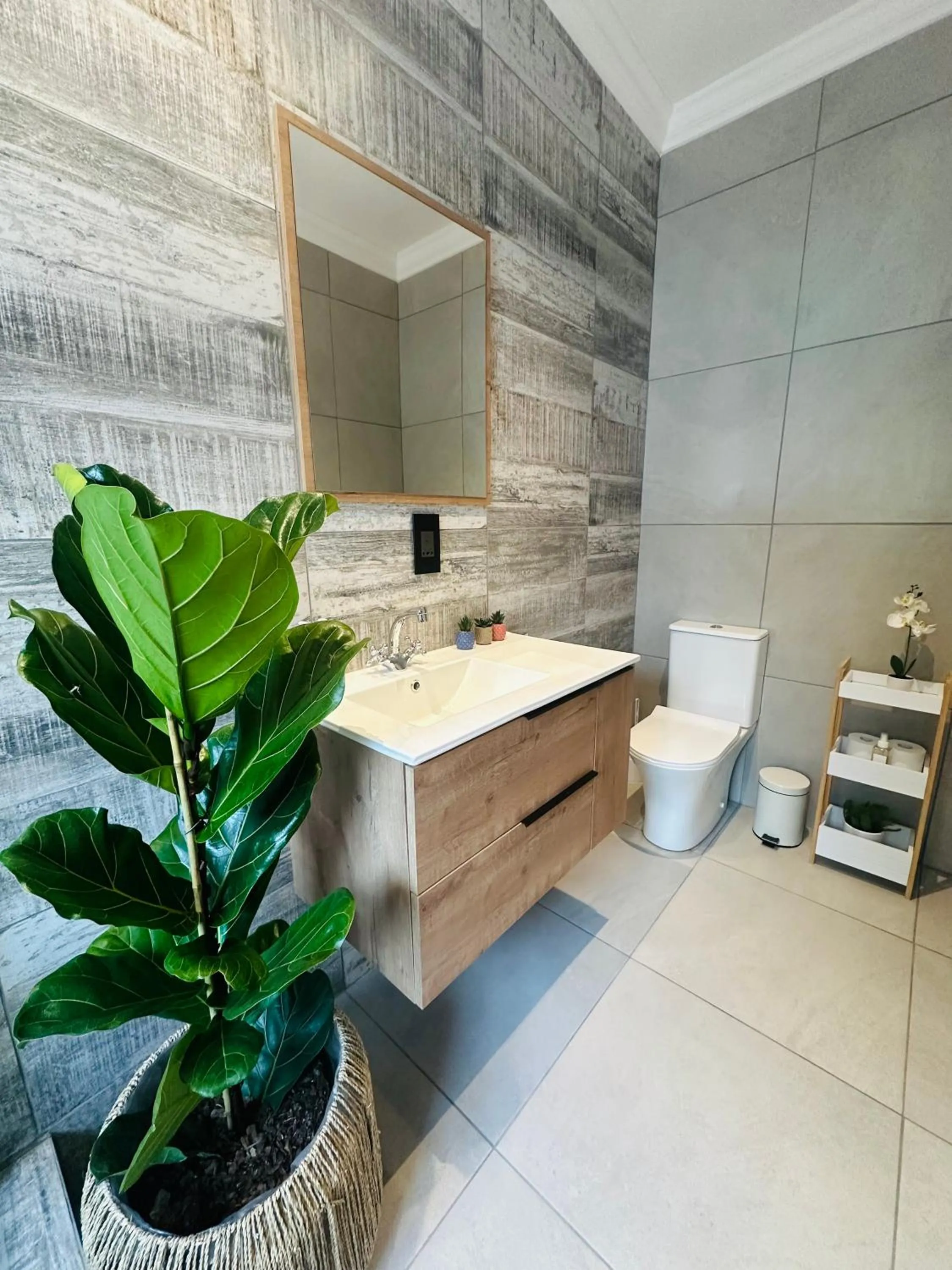 Superior Room in Vine Guesthouse