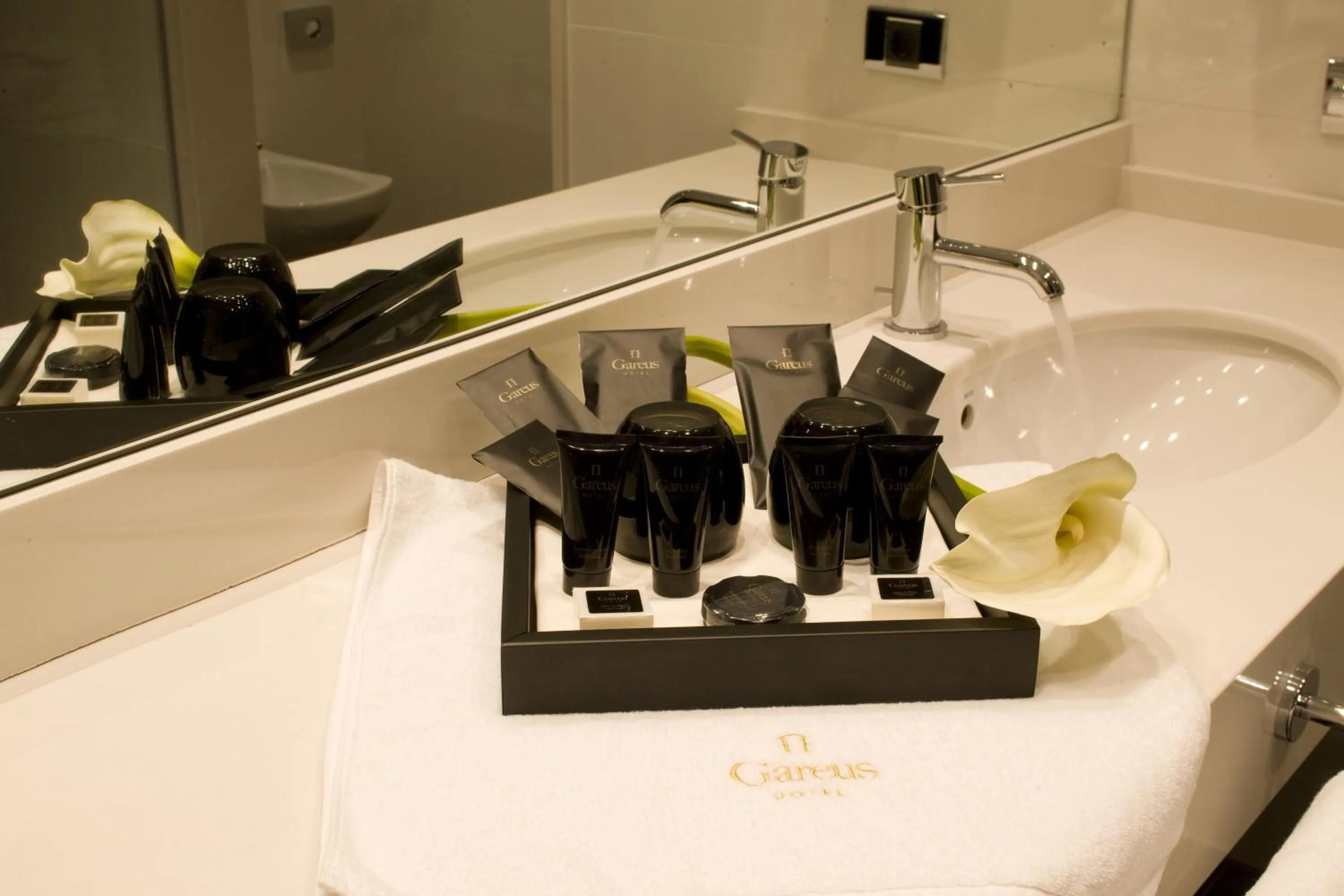 Standard Double or Twin Room in Hotel Boutique Gareus