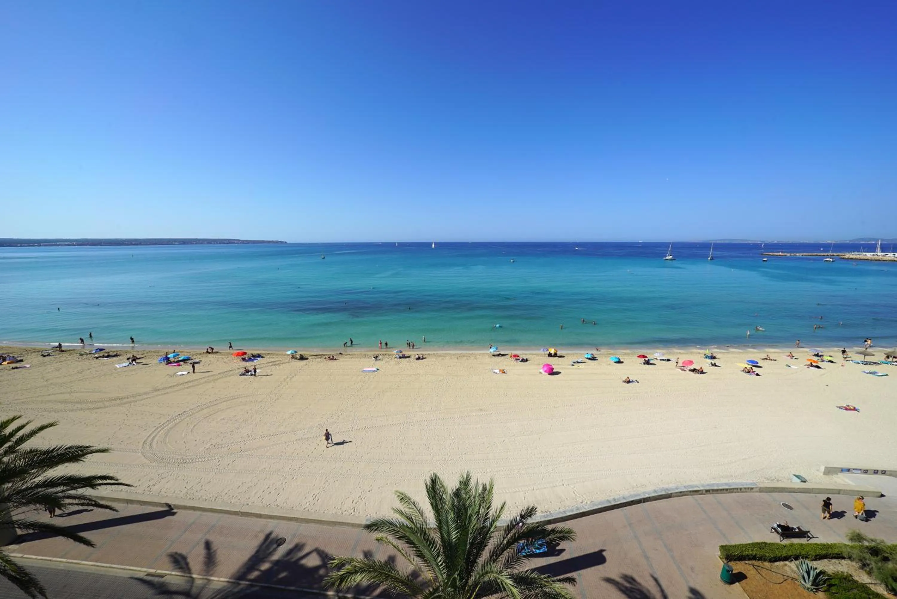 Superior Double or Twin Room with Sea View in Hotel Eden Palma Playa Adults Only