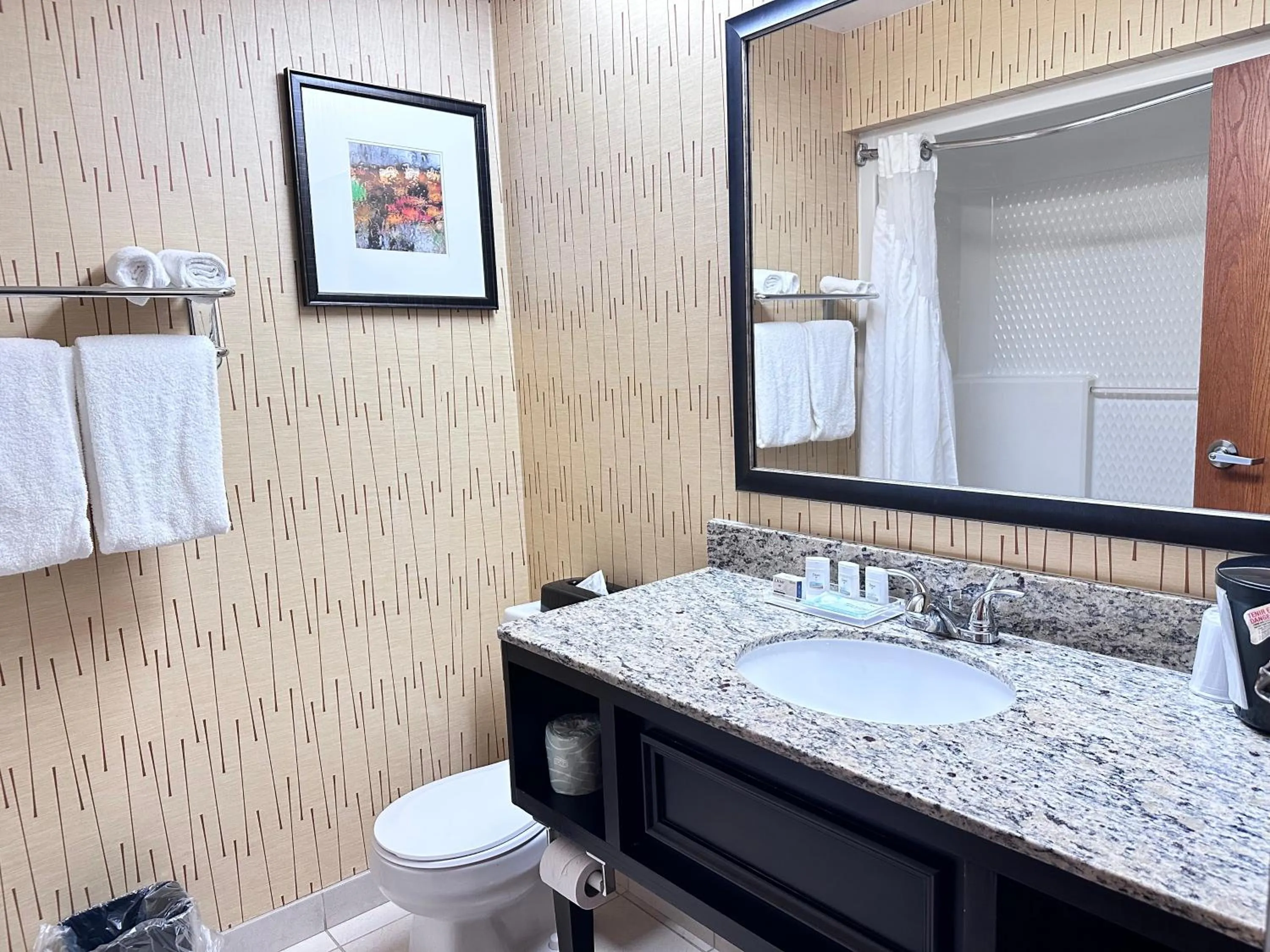 Standard Room in Holiday Inn Express Big Rapids by IHG