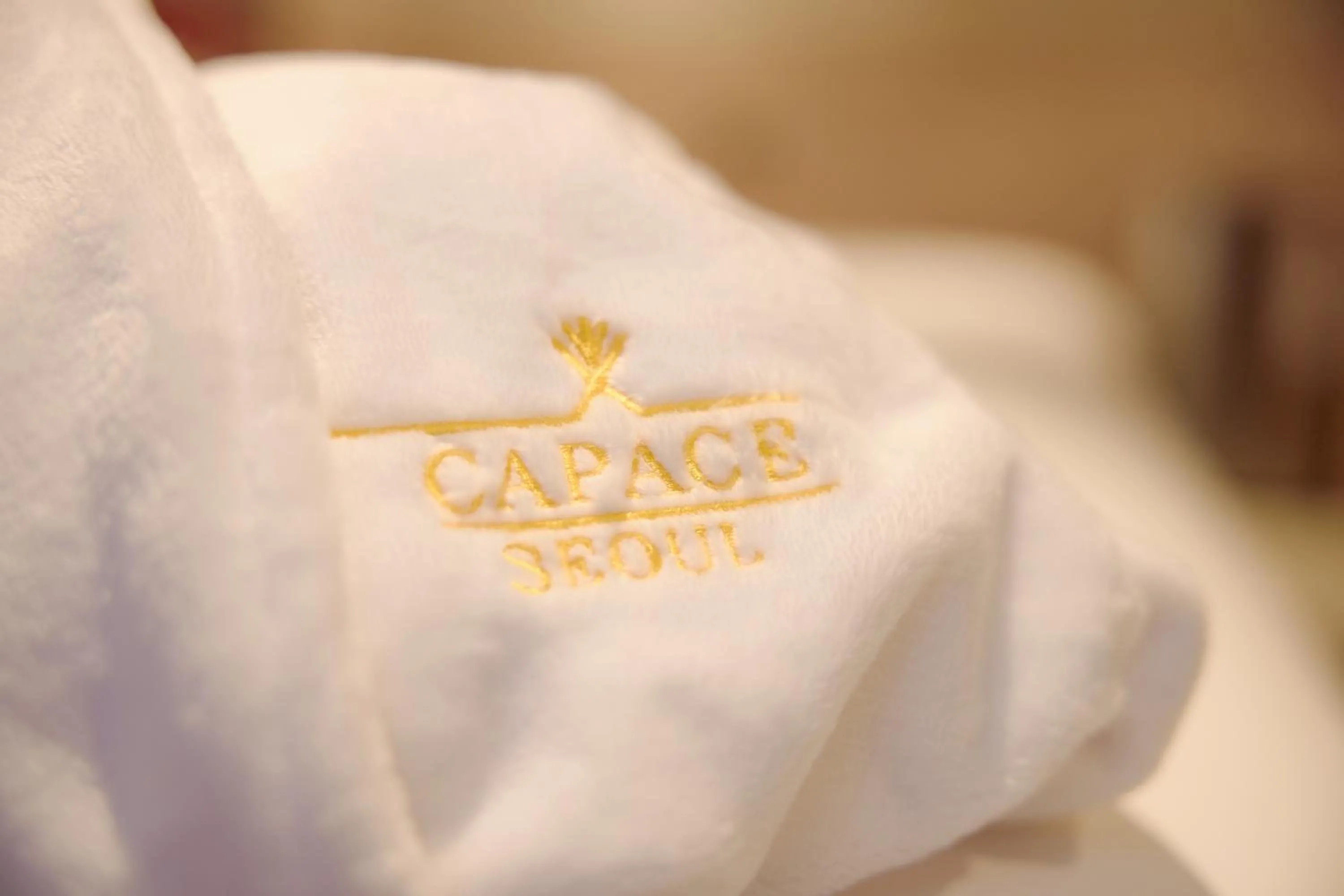 Prestige Triple in Capace Hotel Gangnam