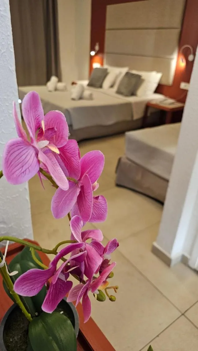 Annex Superior Family Room in Atlantis Boutique City Hotel