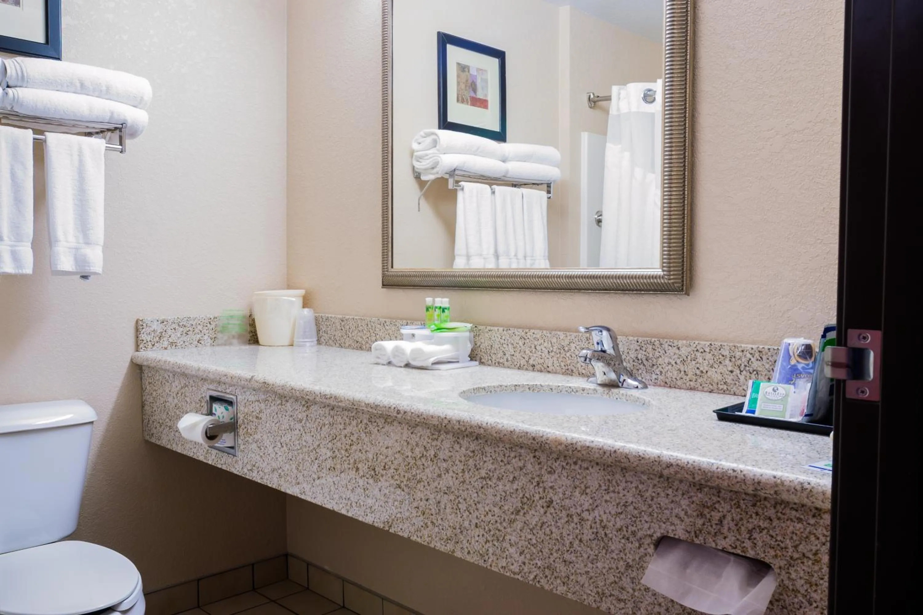 Standard Room in Holiday Inn Express Hotel & Suites Acme-Traverse City by IHG