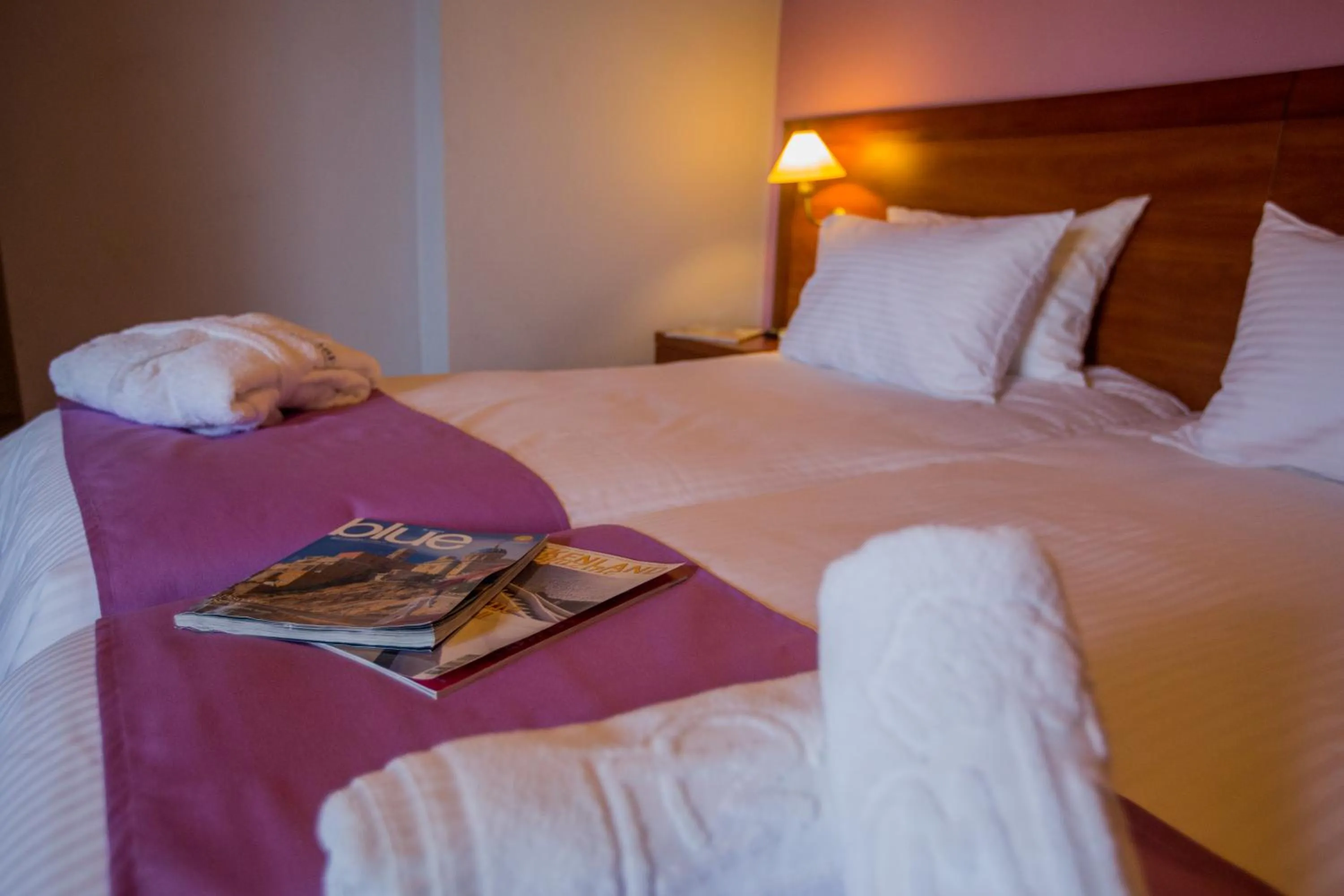 Double or Twin Room in Mirabel CityCenter Hotel