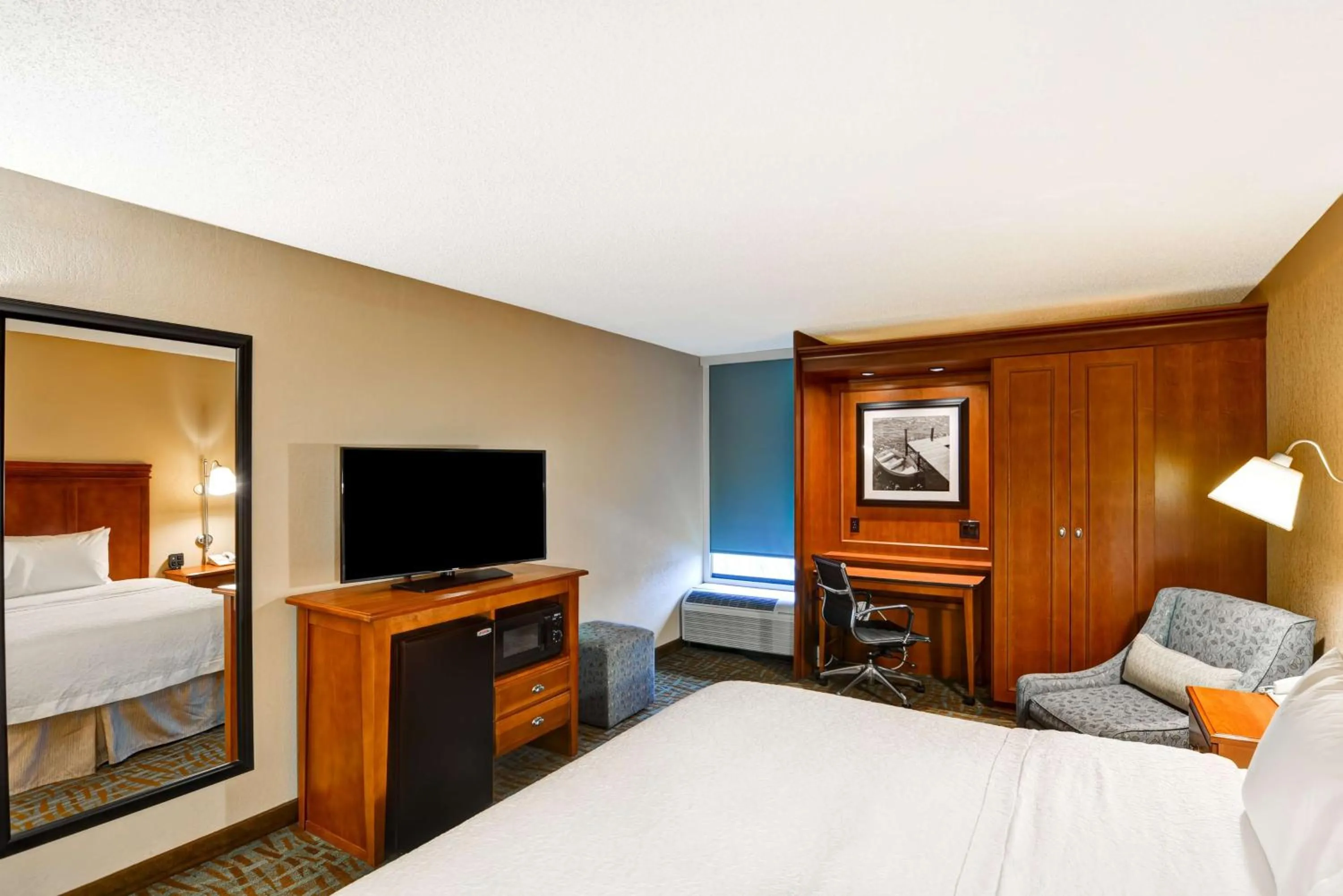 King Room with King Bed - Non-Smoking in Hampton Inn Hendersonville