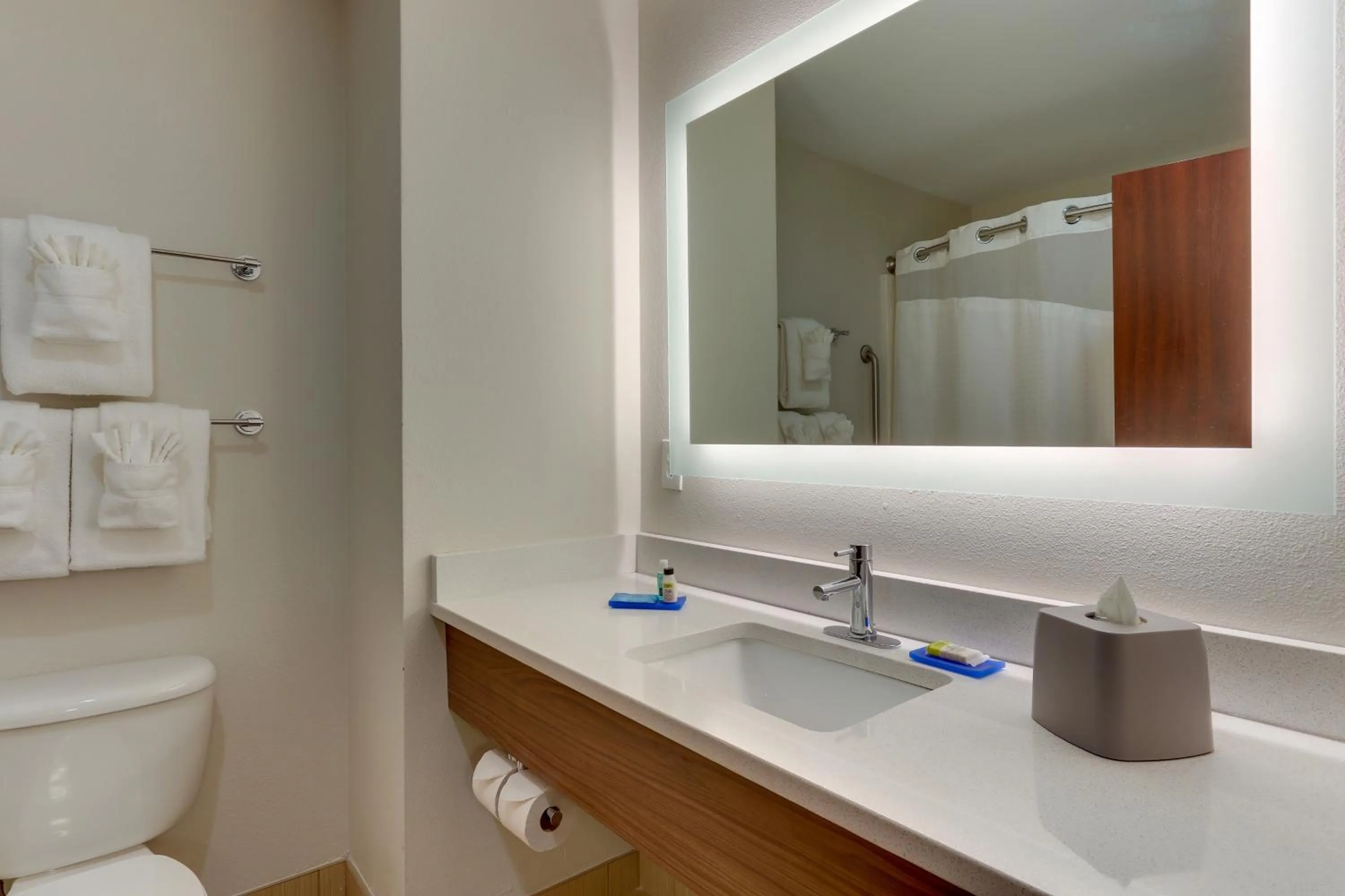 Standard King Room with Roll-In Shower - Mobility Access in Holiday Inn Express Hotel & Suites Dayton-Centerville by IHG