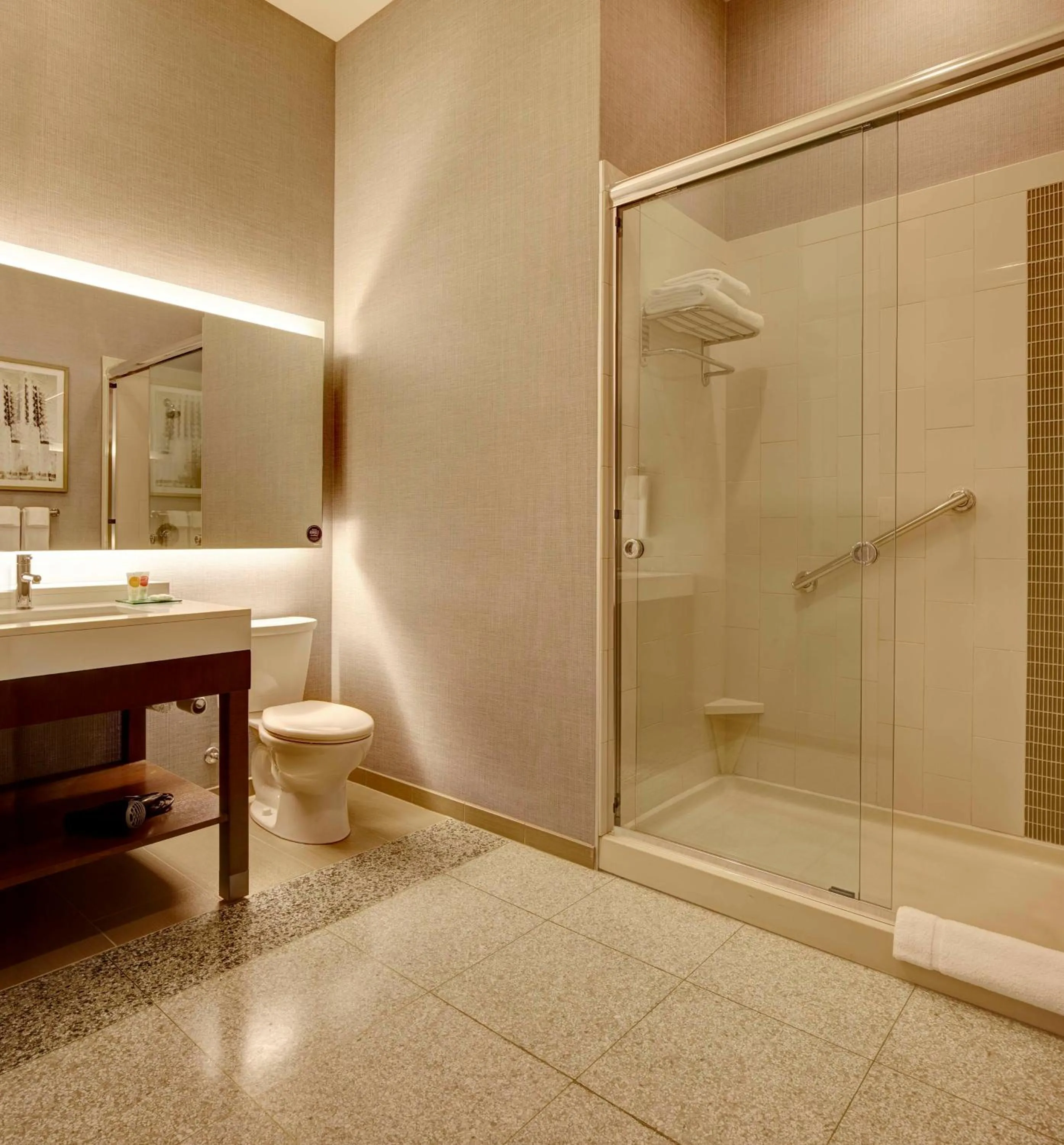 King Room with Sofa Bed in Hyatt Place St. Paul