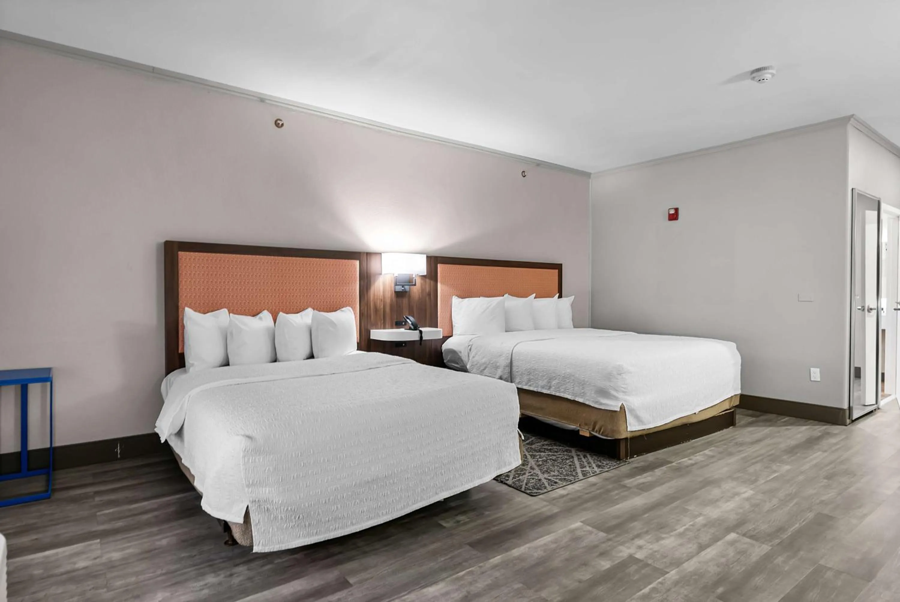 Queen Room with Two Queen Beds - Mobility and Hearing Access/Non-Smoking in Hampton Inn Seguin