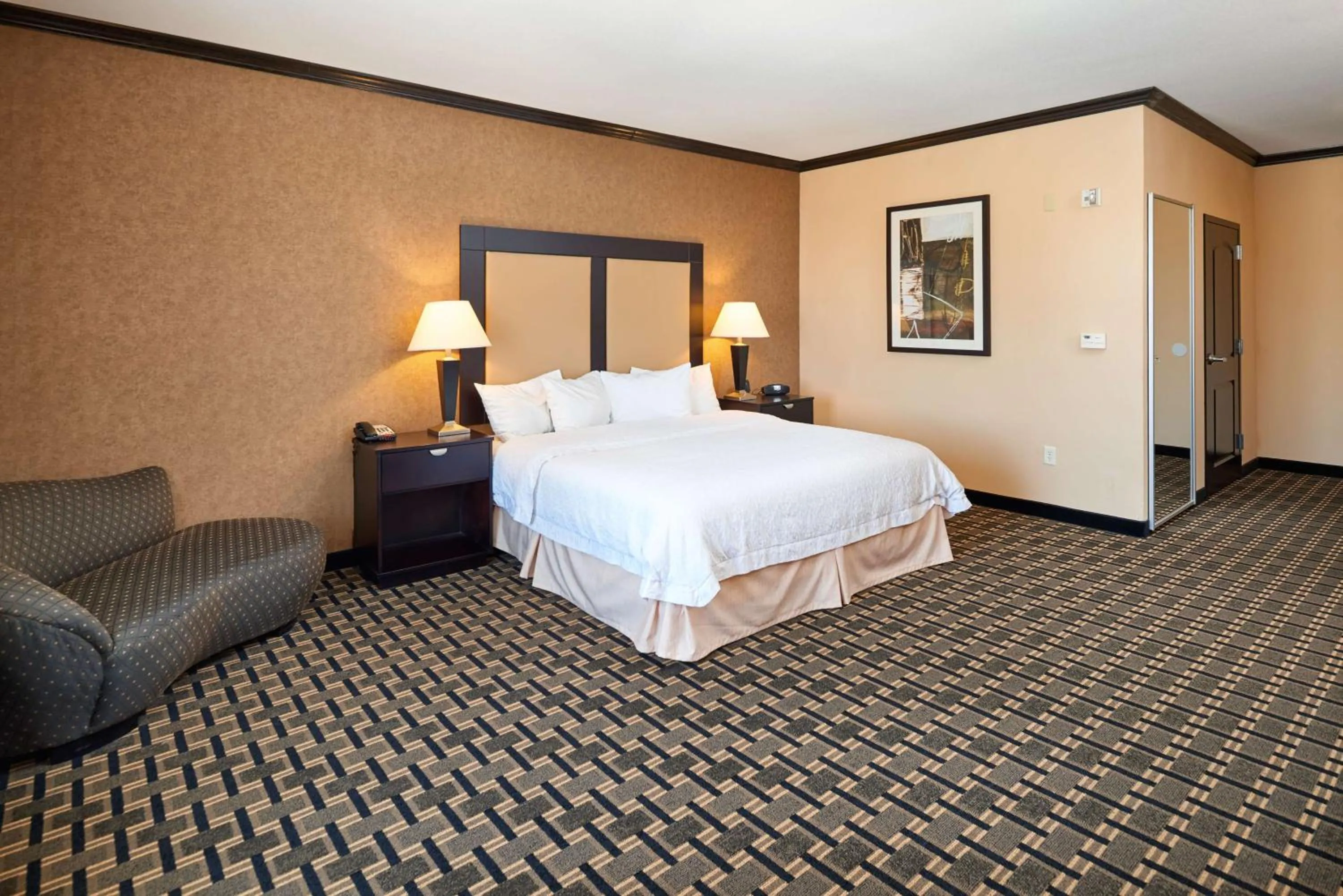 King Room with Accessible Tub - Mobility and Hearing Access/Non-Smoking in Hampton Inn & Suites Longview North