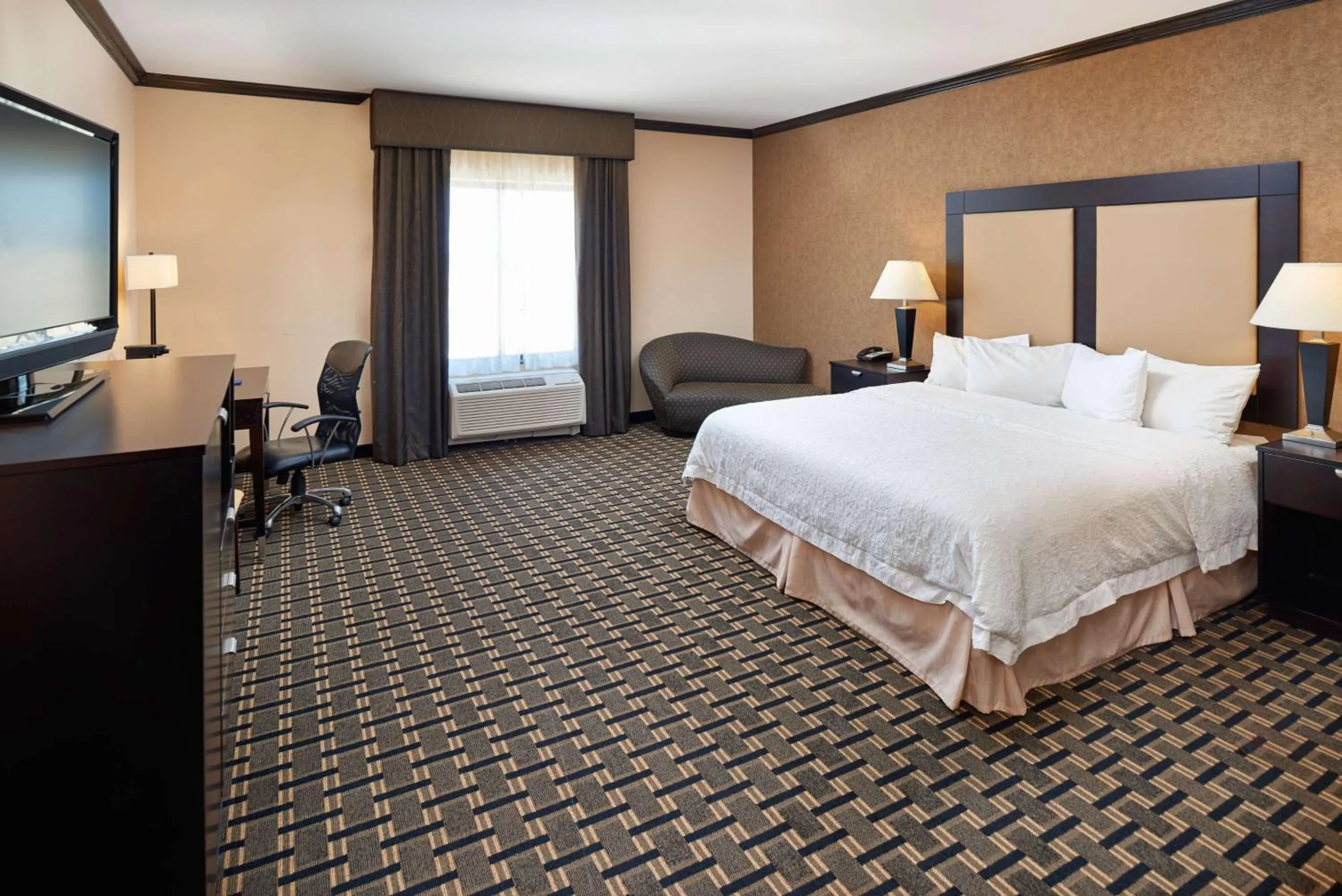 King Studio with Sofa Bed in Hampton Inn & Suites Longview North