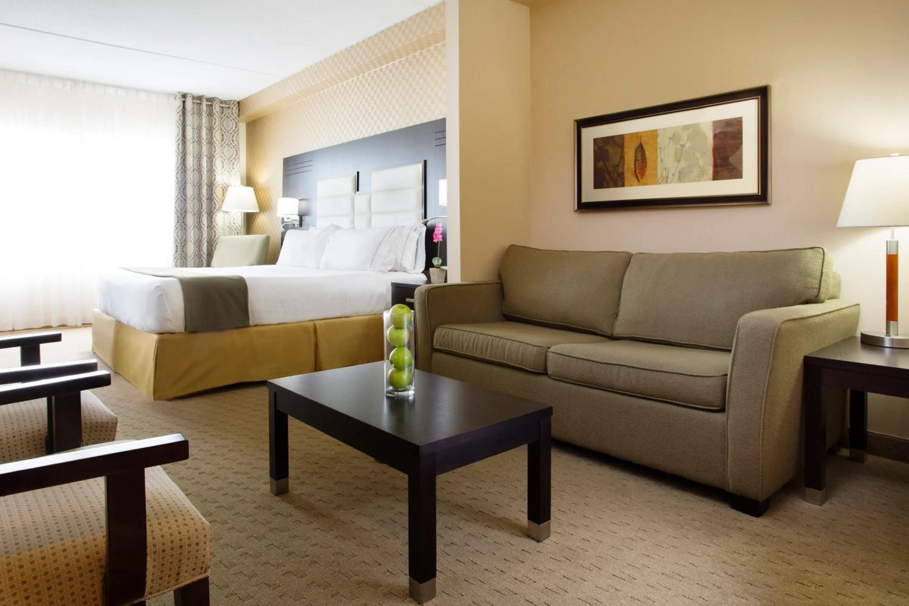 King Suite - Disability Access in Holiday Inn Express & Suites Ottawa West - Nepean by IHG