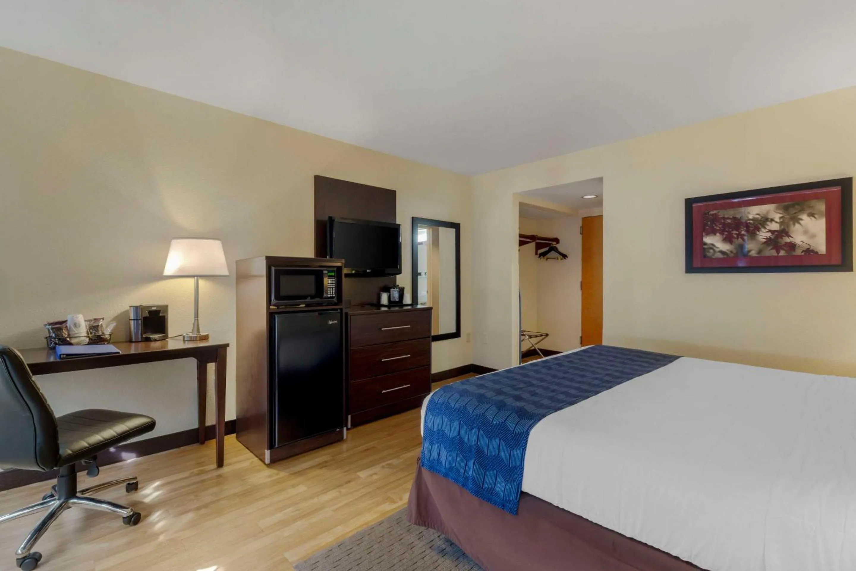 King Room - single occupancy - Non-Smoking in The Capitol Hotel