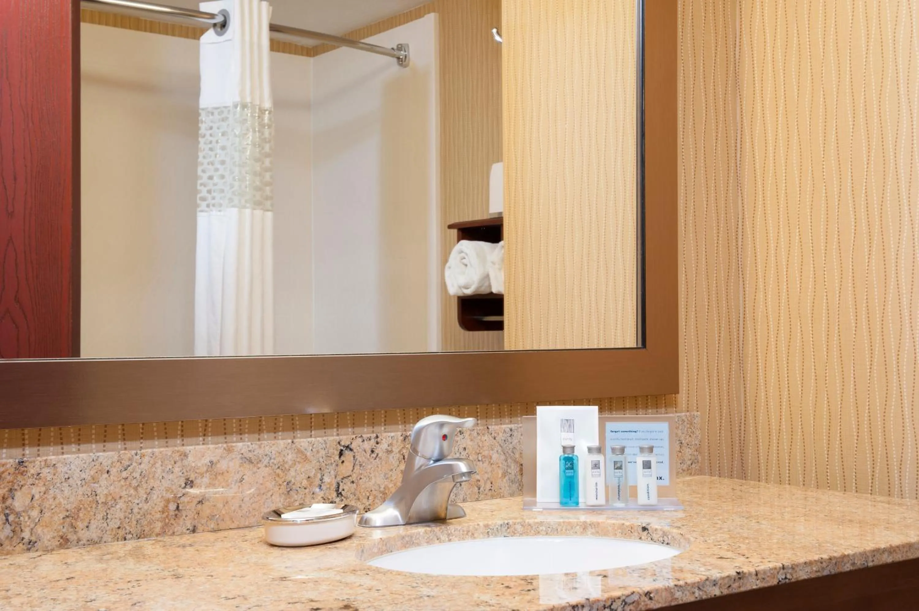 King Room with Accessible Tub - Mobility and Hearing Access/Non-Smoking in Hampton Inn & Suites Cleveland-Southeast-Streetsboro