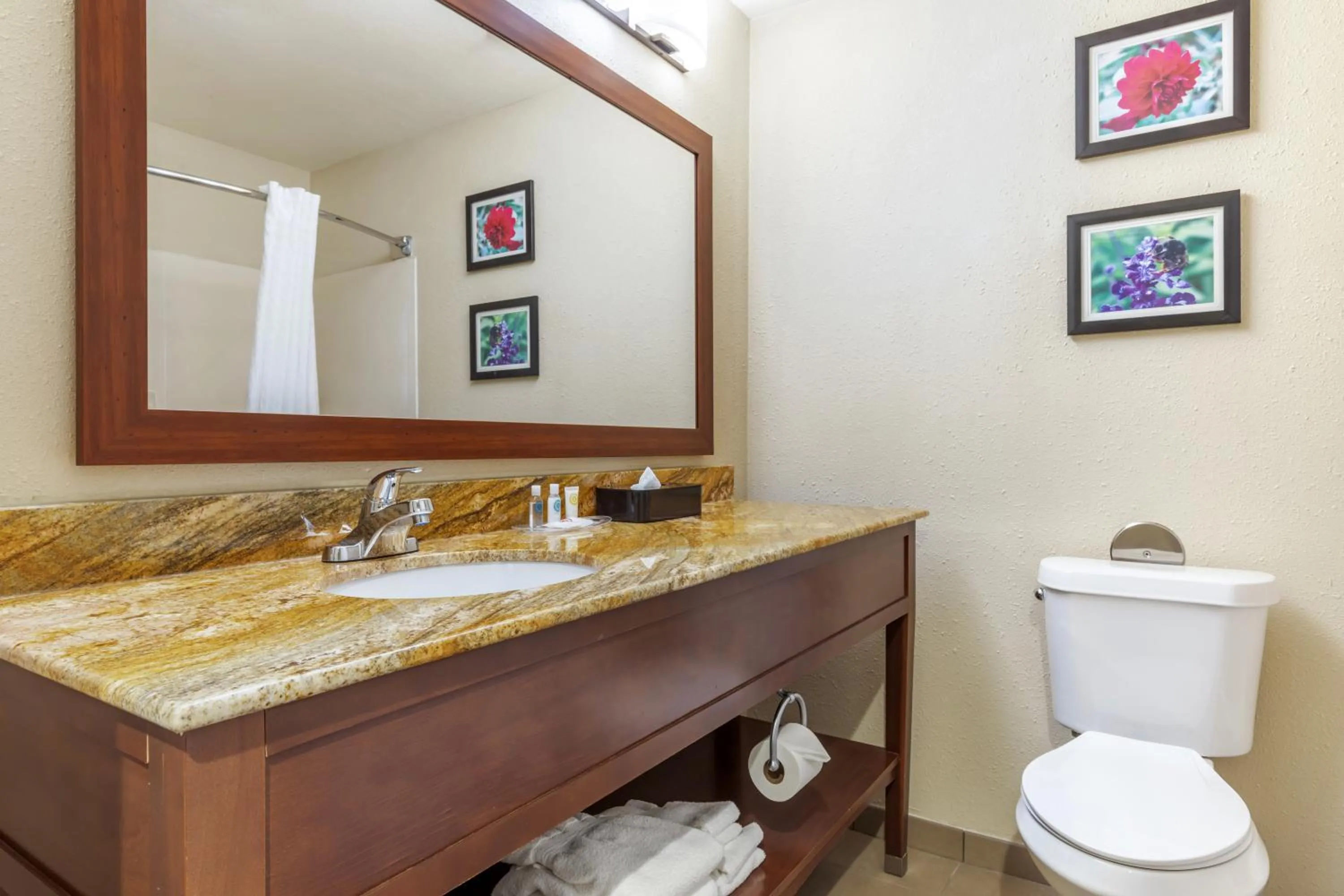 Standard King Room - Non-Smoking  in Comfort Inn & Suites Temple - Medical Center