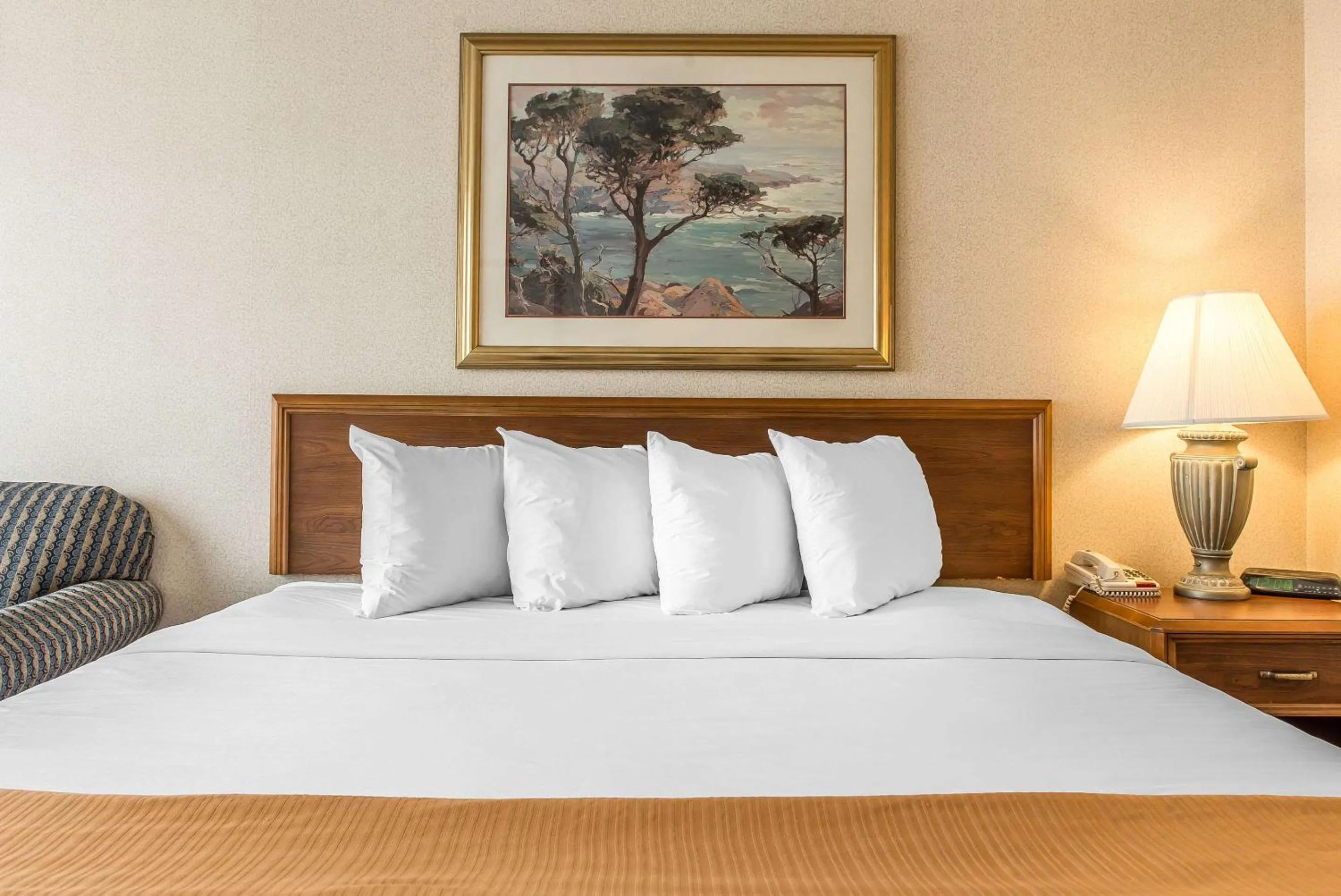 King Room in Quality Inn and Conference Center